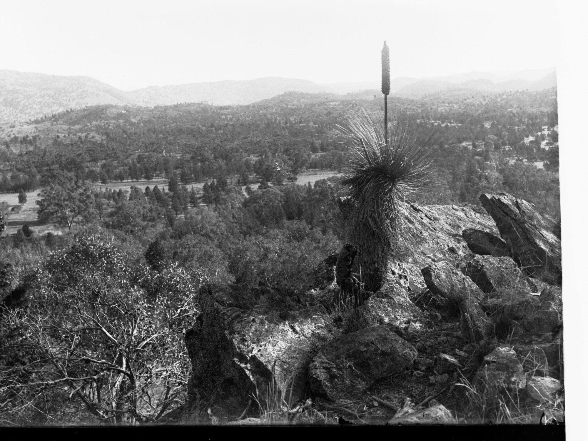 Flinders Ranges, Artimore Valley