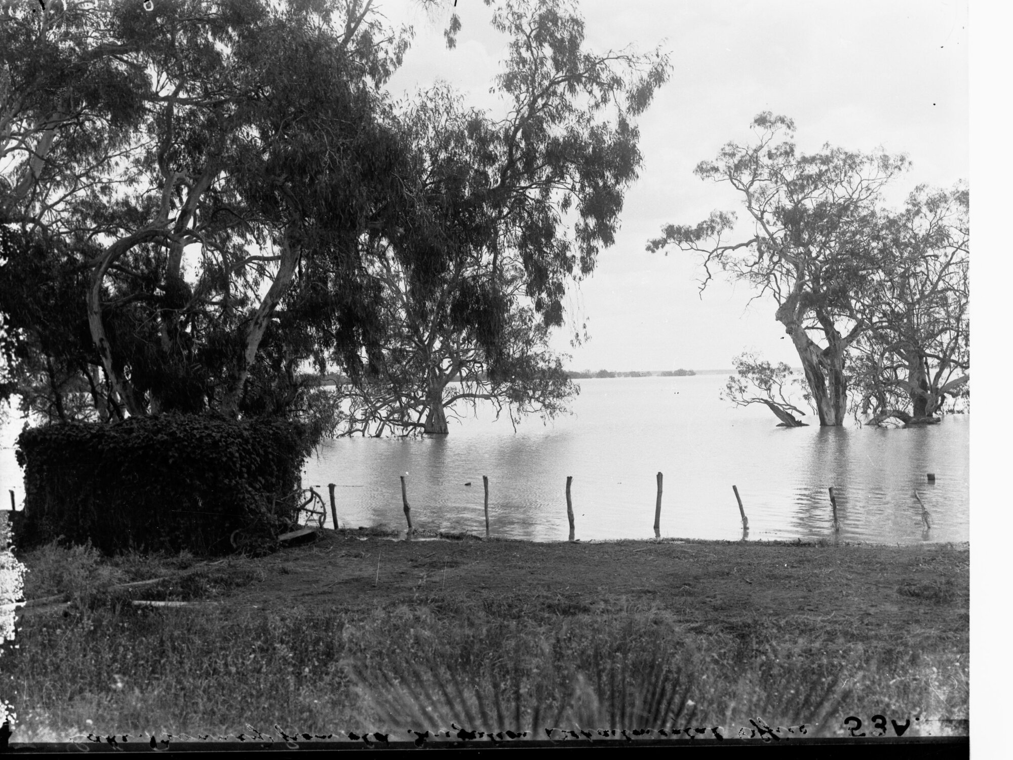 Lake Bonney From Old Irrigation Department Office
