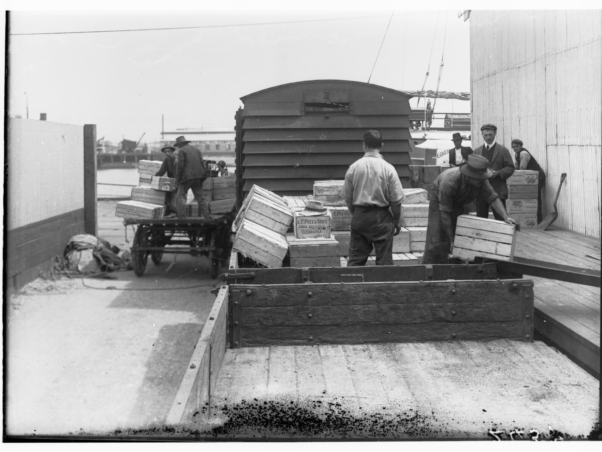 Receiving fruit at Port Adelaide