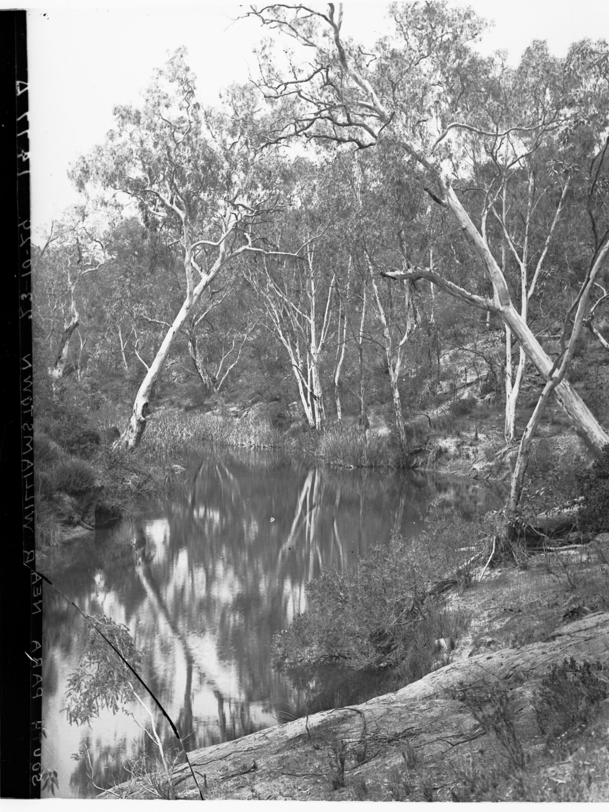 South Para River Near Williamstown