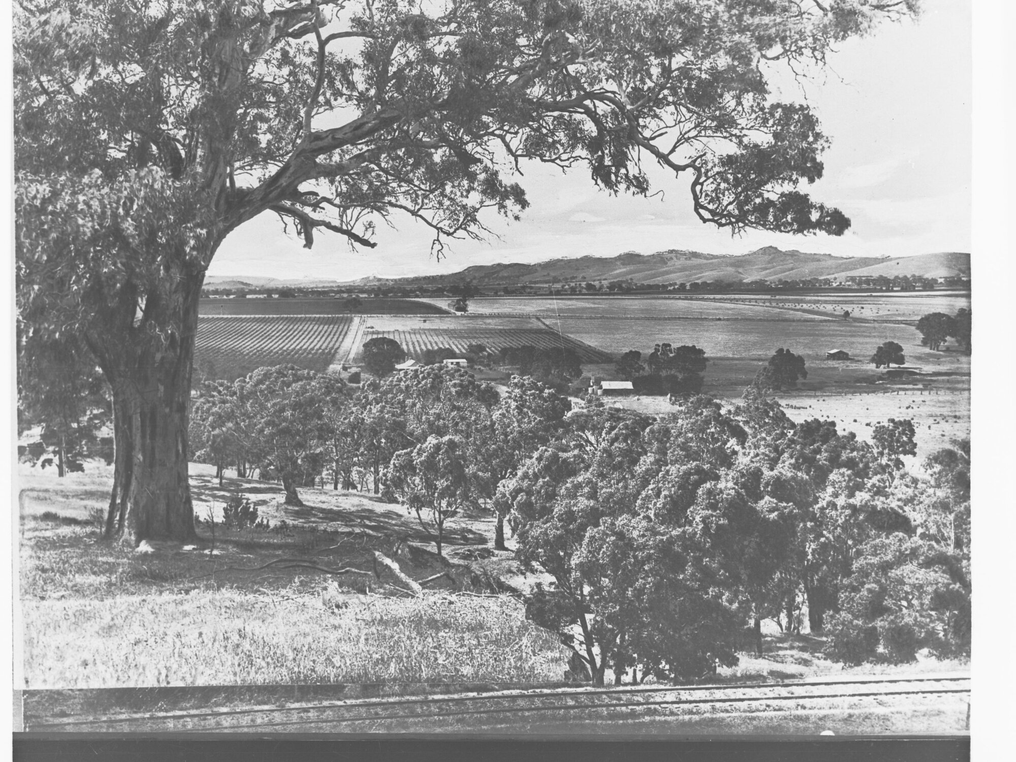 Rural Scene