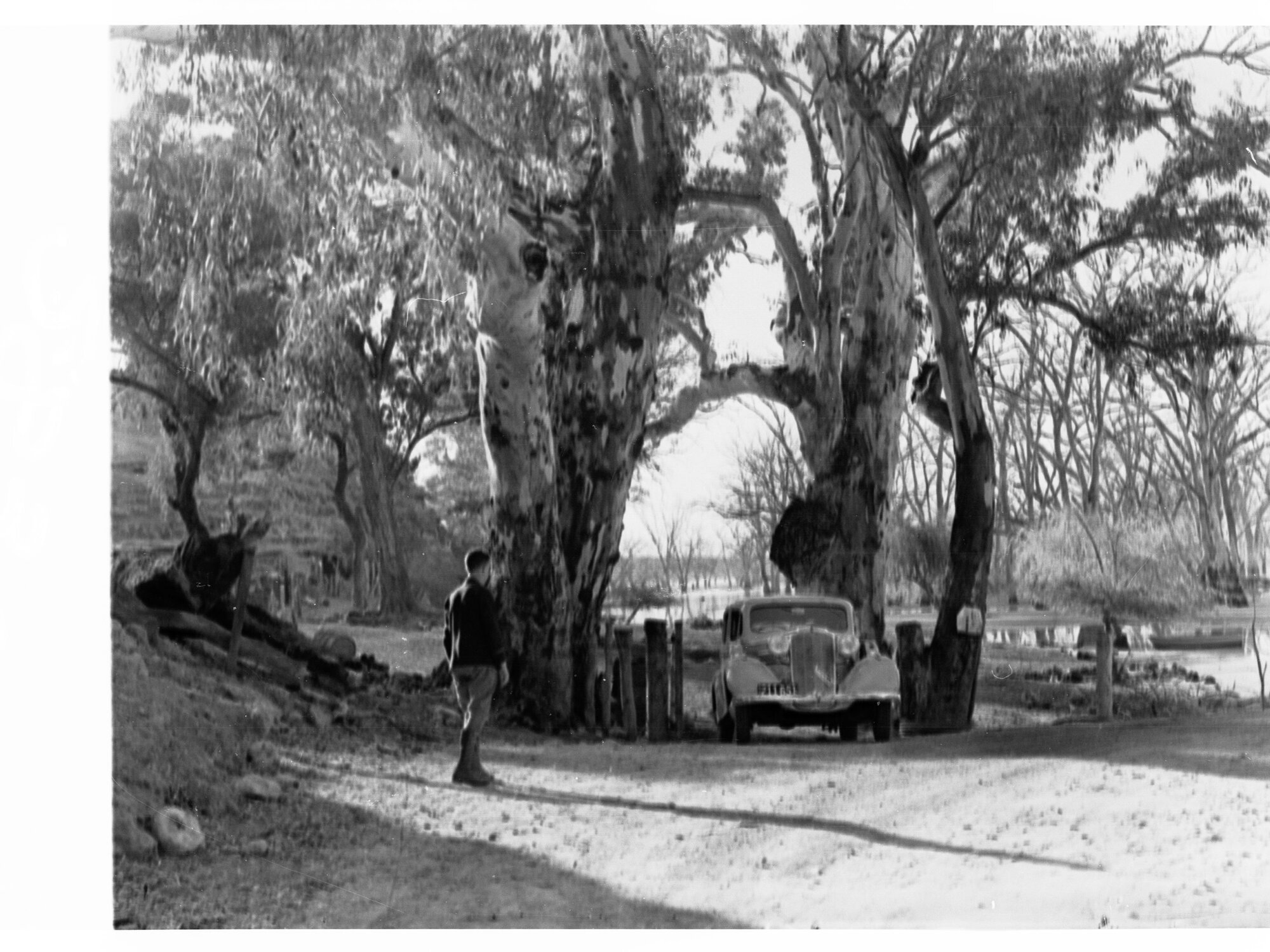 River Murray