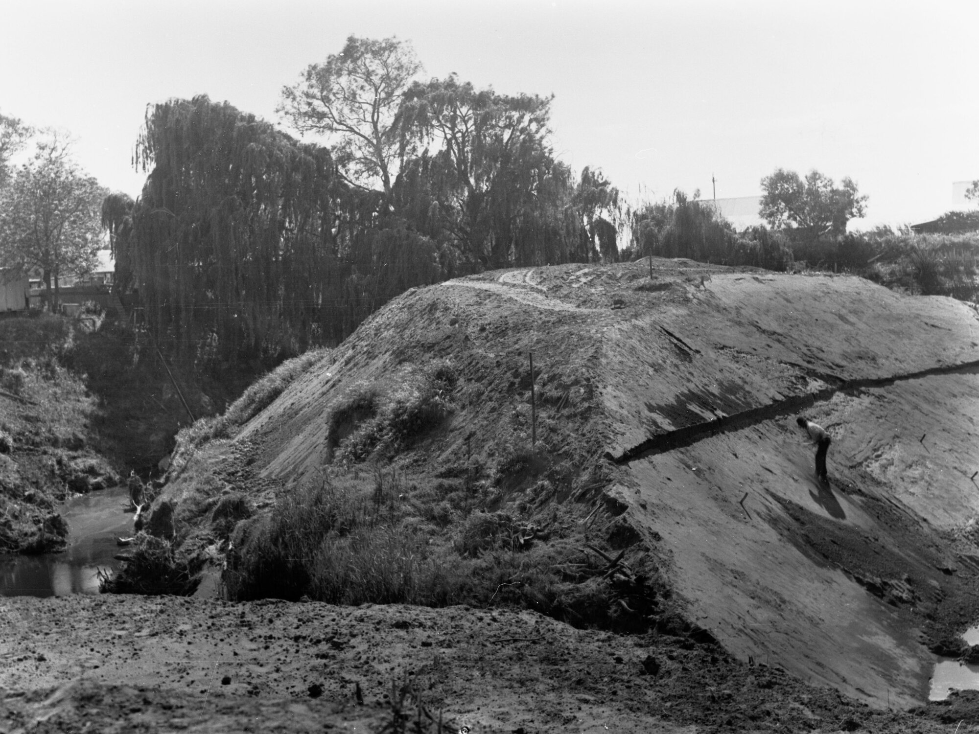 Torrens Floodwater Scheme, man on hill side