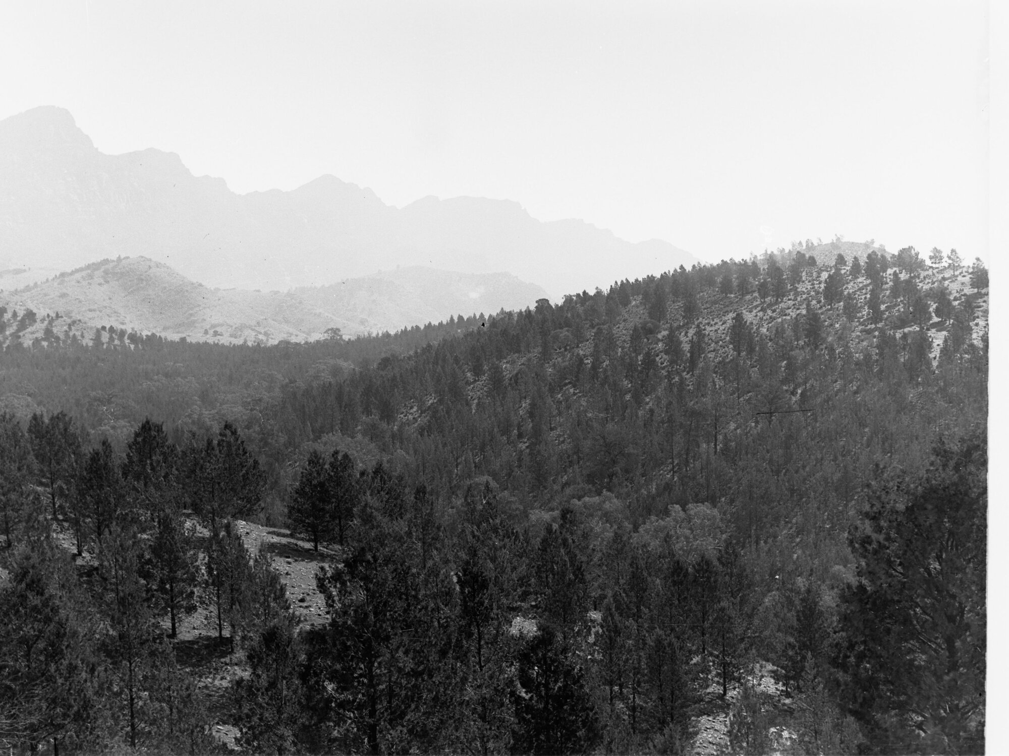 Eastern Boundary of Wilpena Pound Flinders Ranges | History Trust