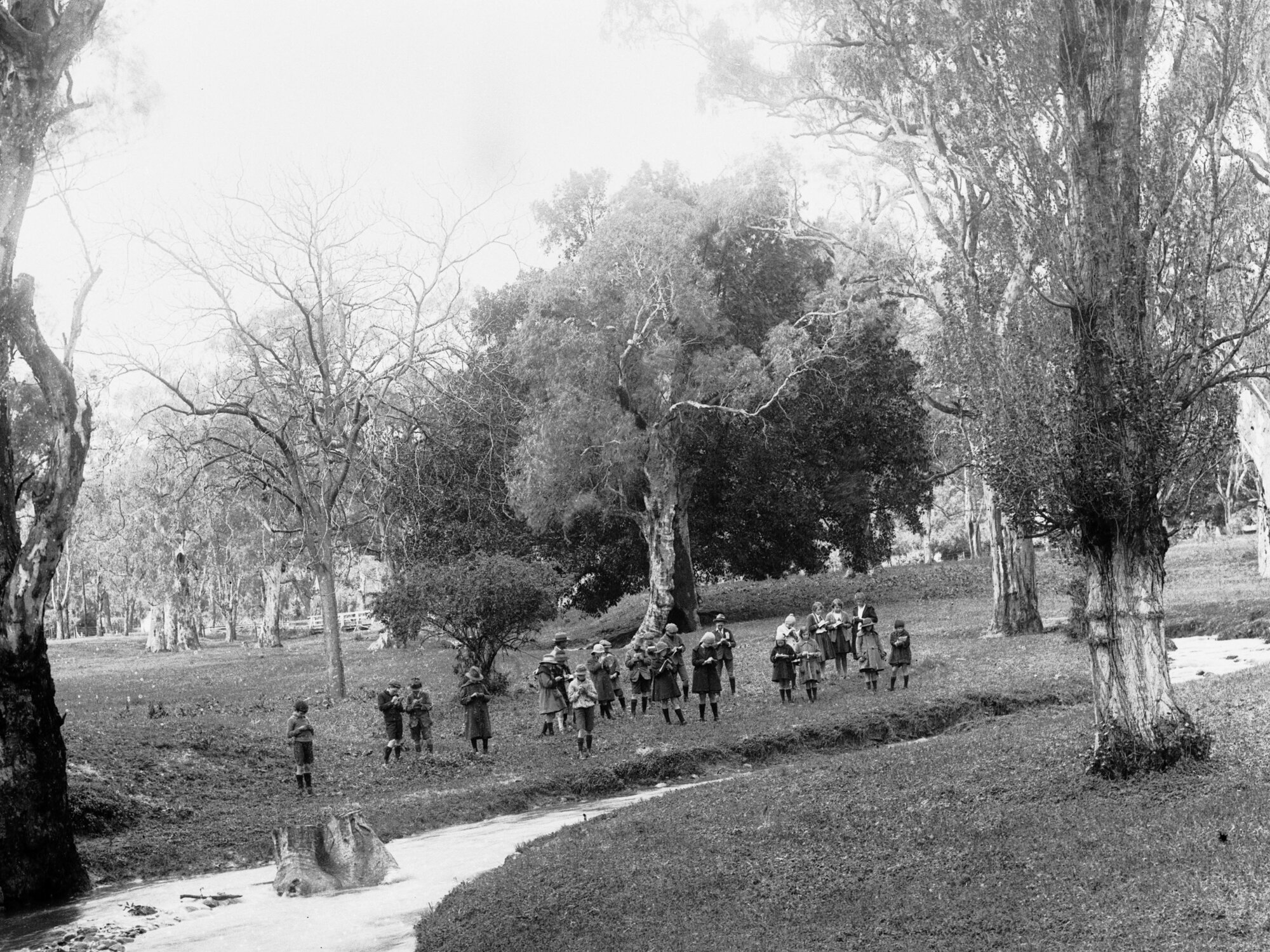 Children in park - Hazelwood Park