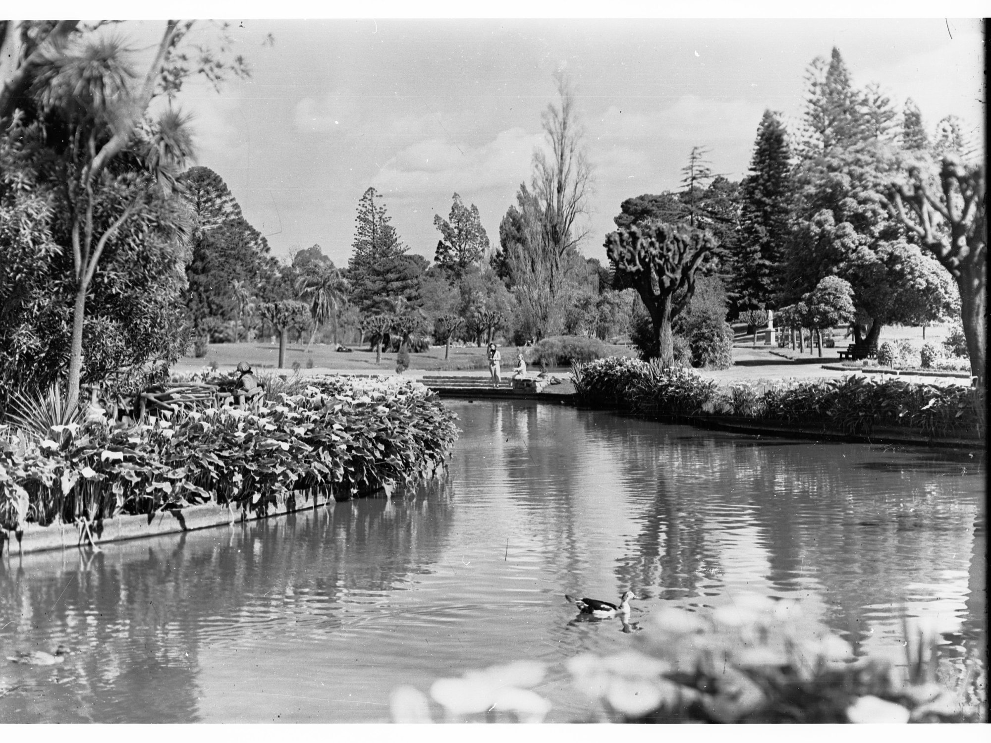 Botanic Gardens 
