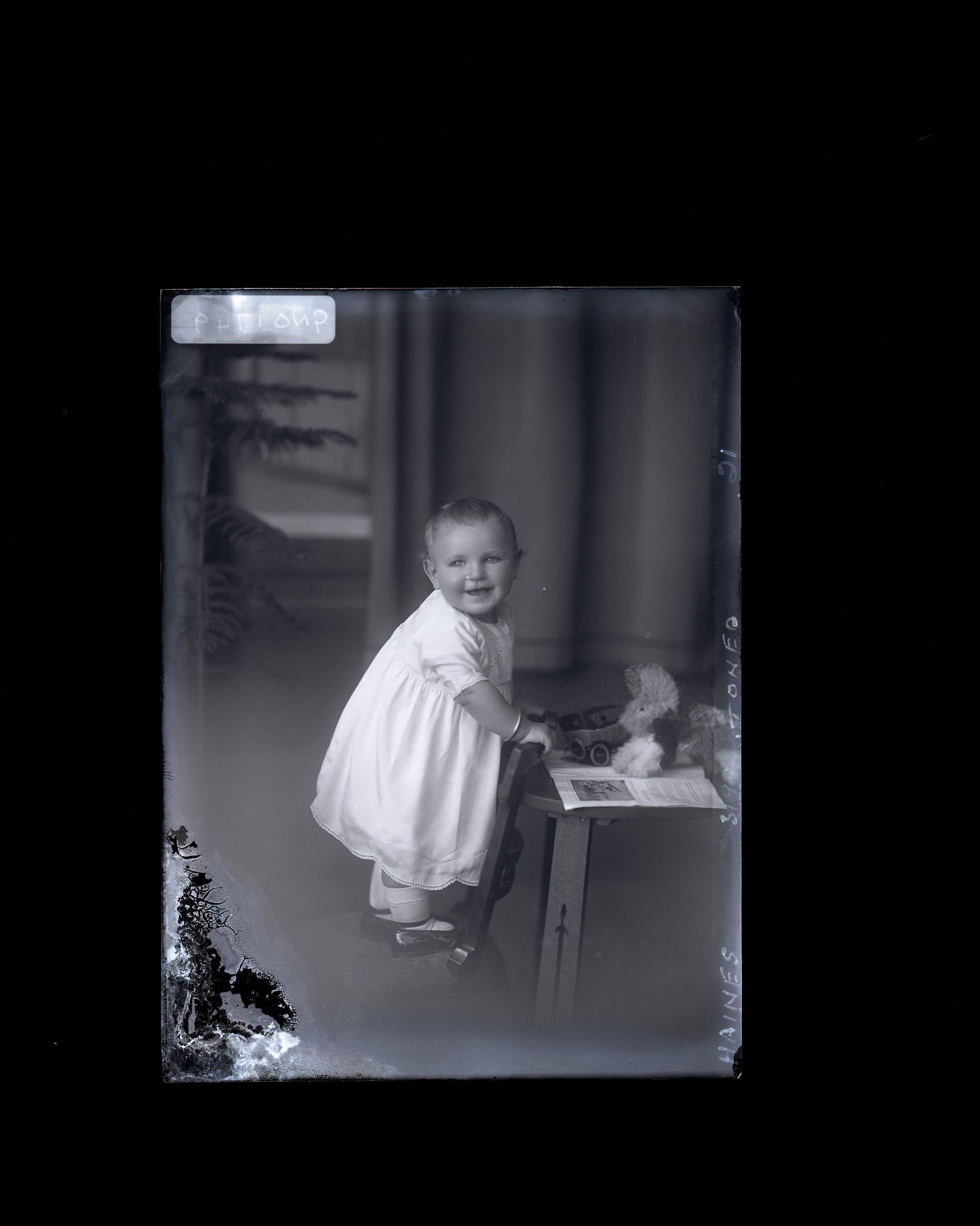 Infant - Haines