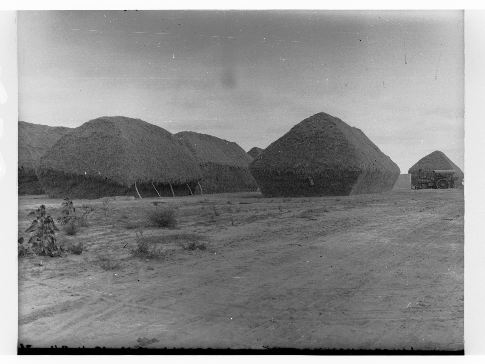 Lucerne Haystacks at Cobdogla
