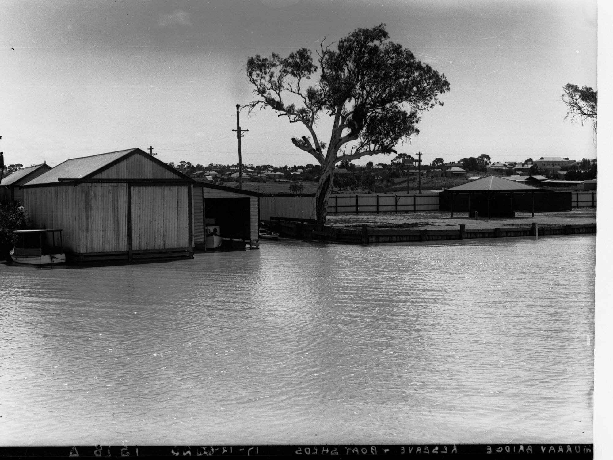 Murray Bridge Reserve and Boat Sheds