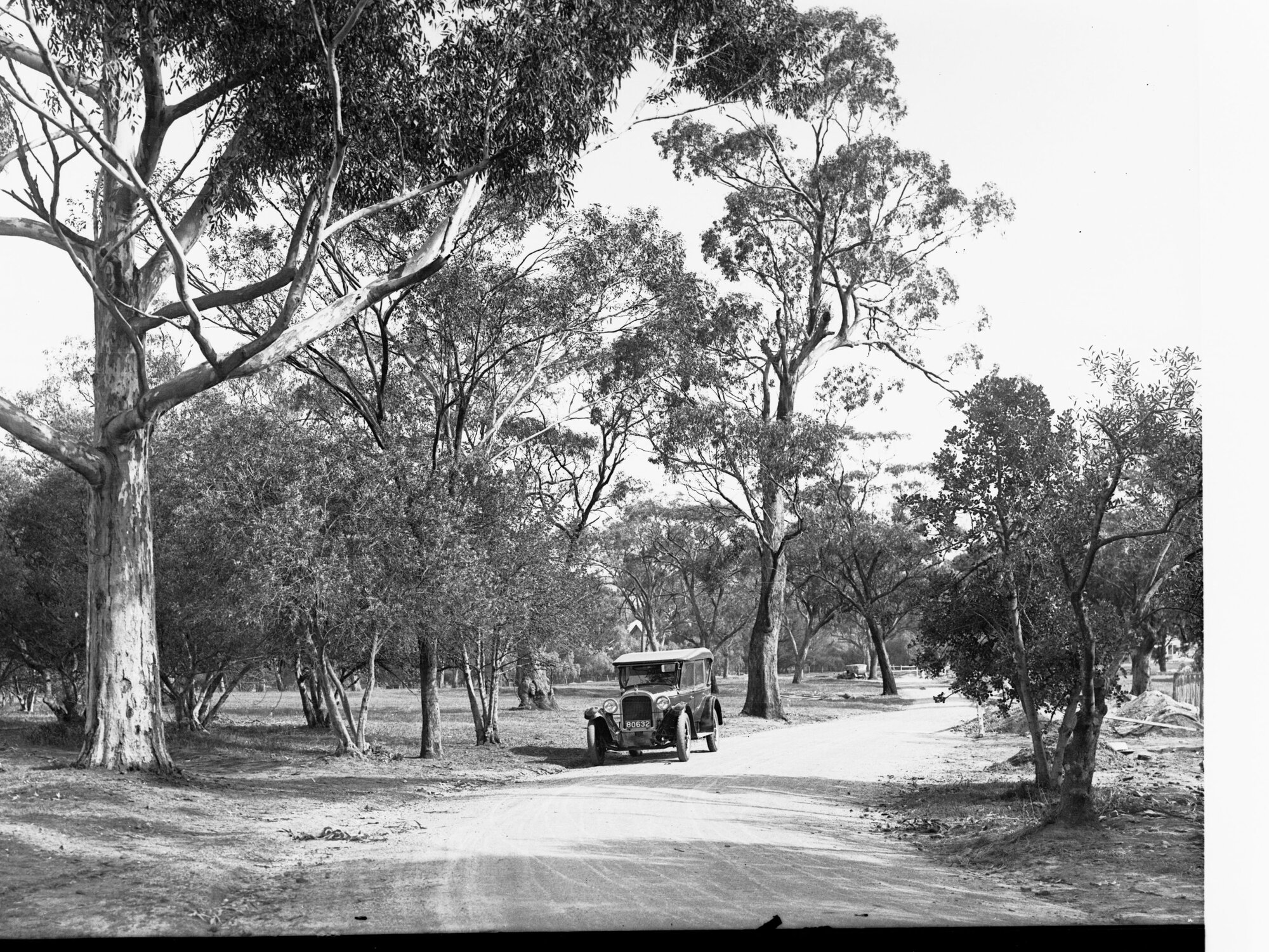 Automobile at Springfield