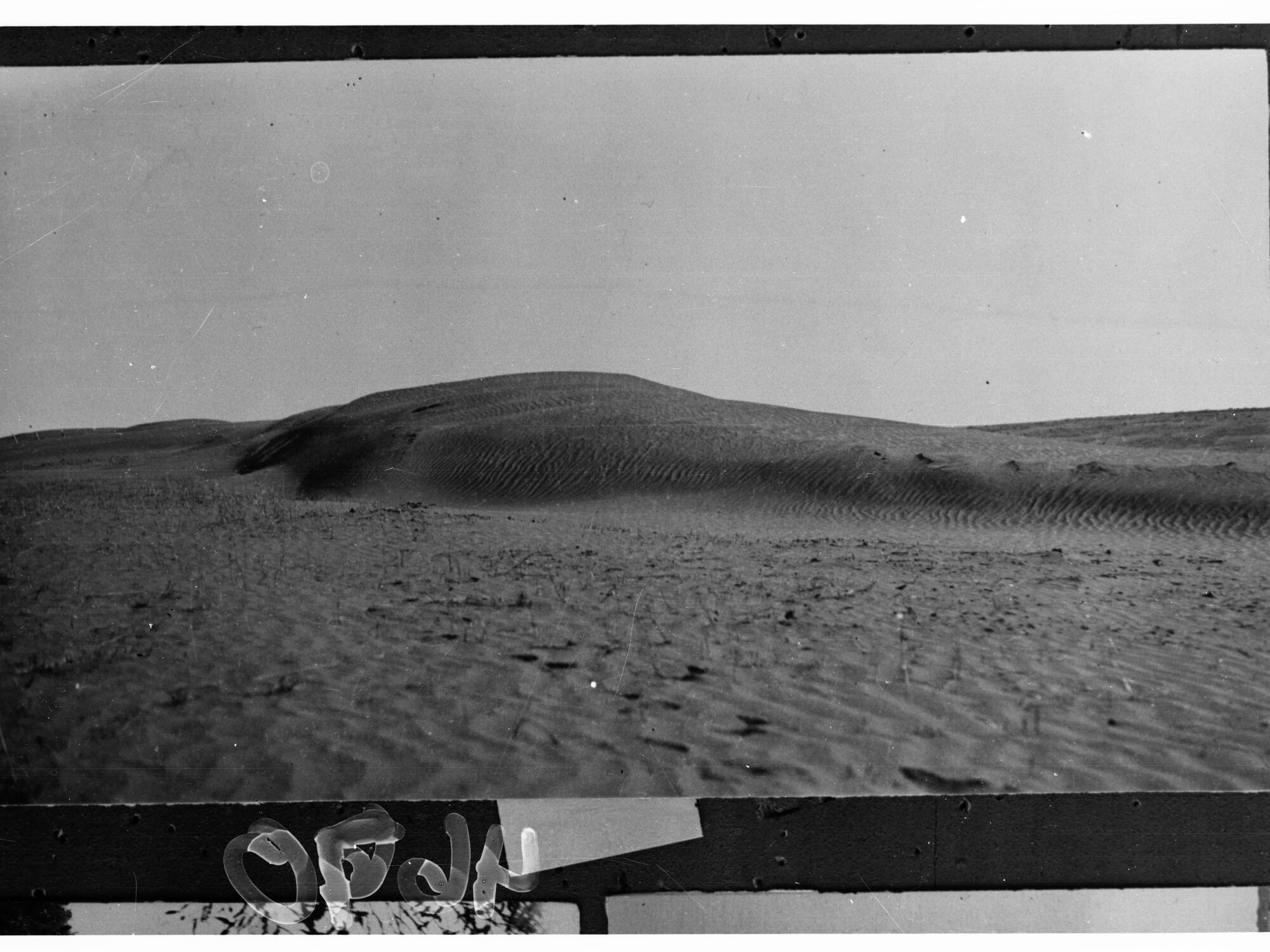 Desert Scene