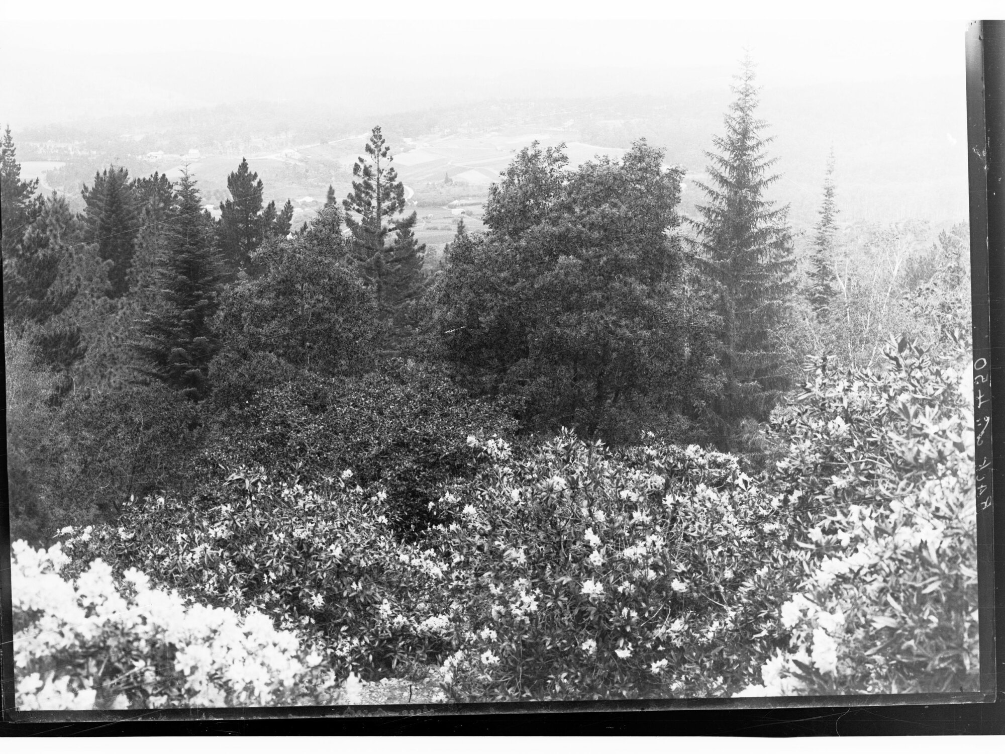 Piccadilly Valley viewed from 'Carminow'