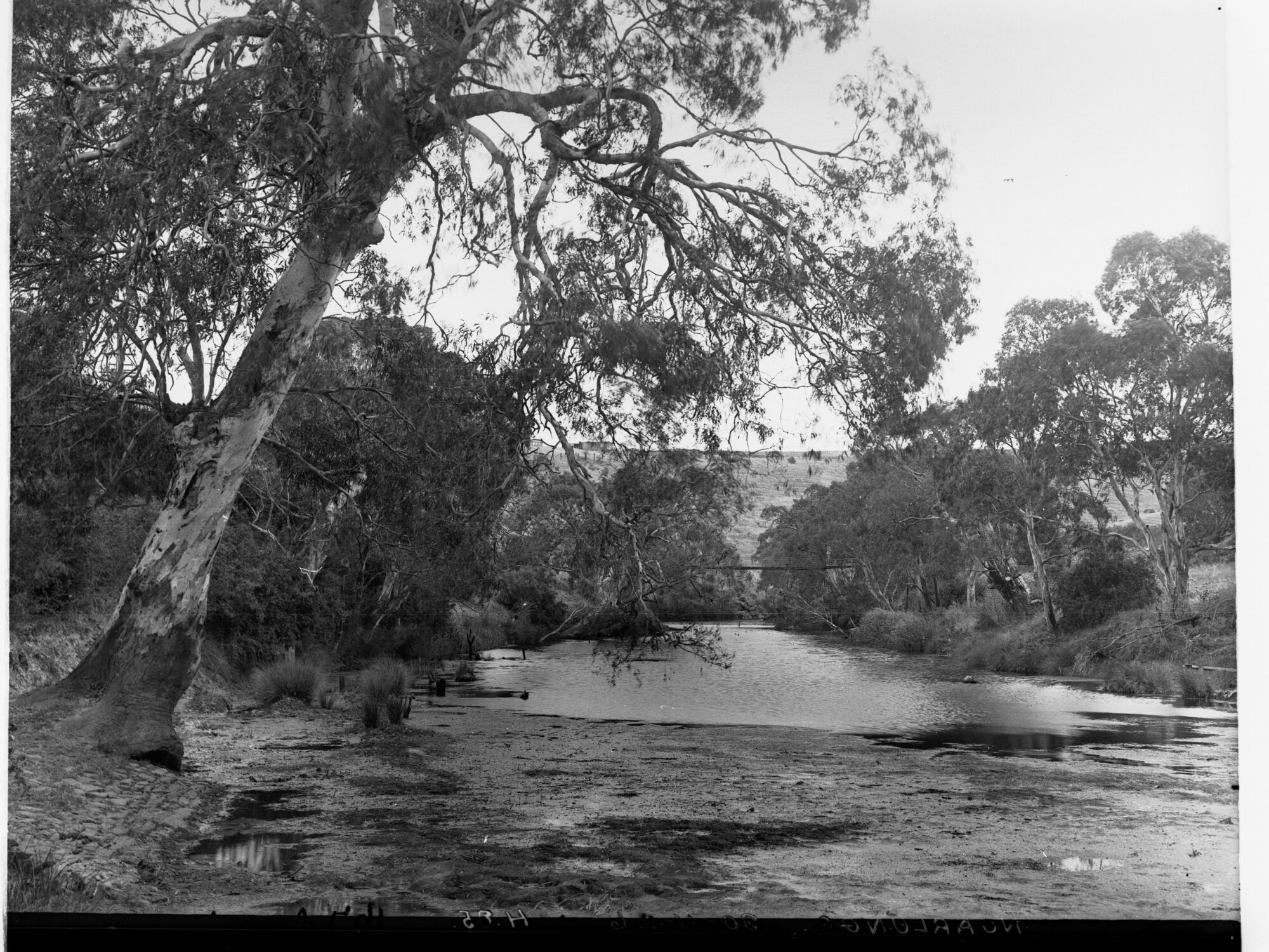 Noarlunga Showing Onkaparinga River