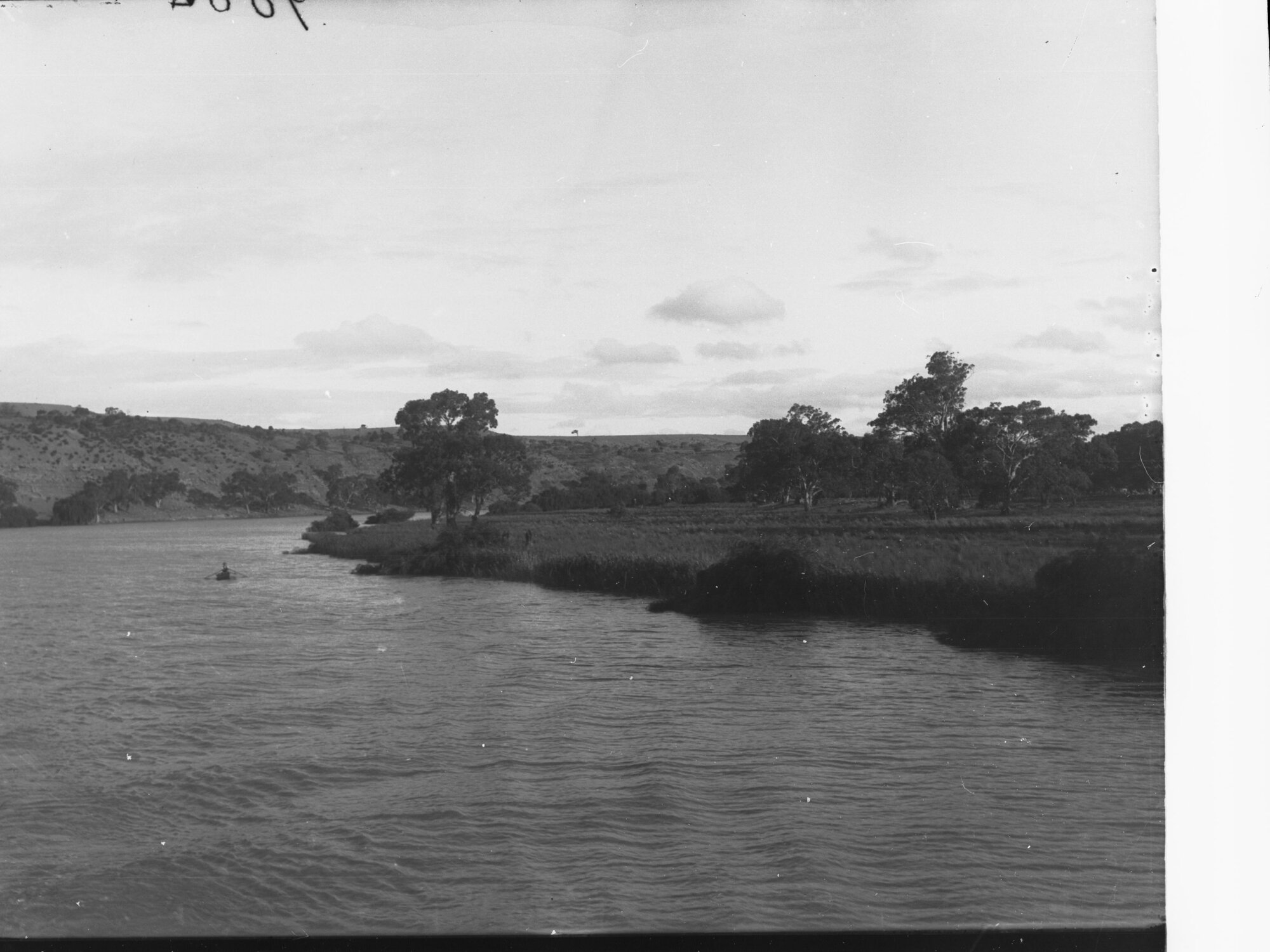 River Murray Near Cowans