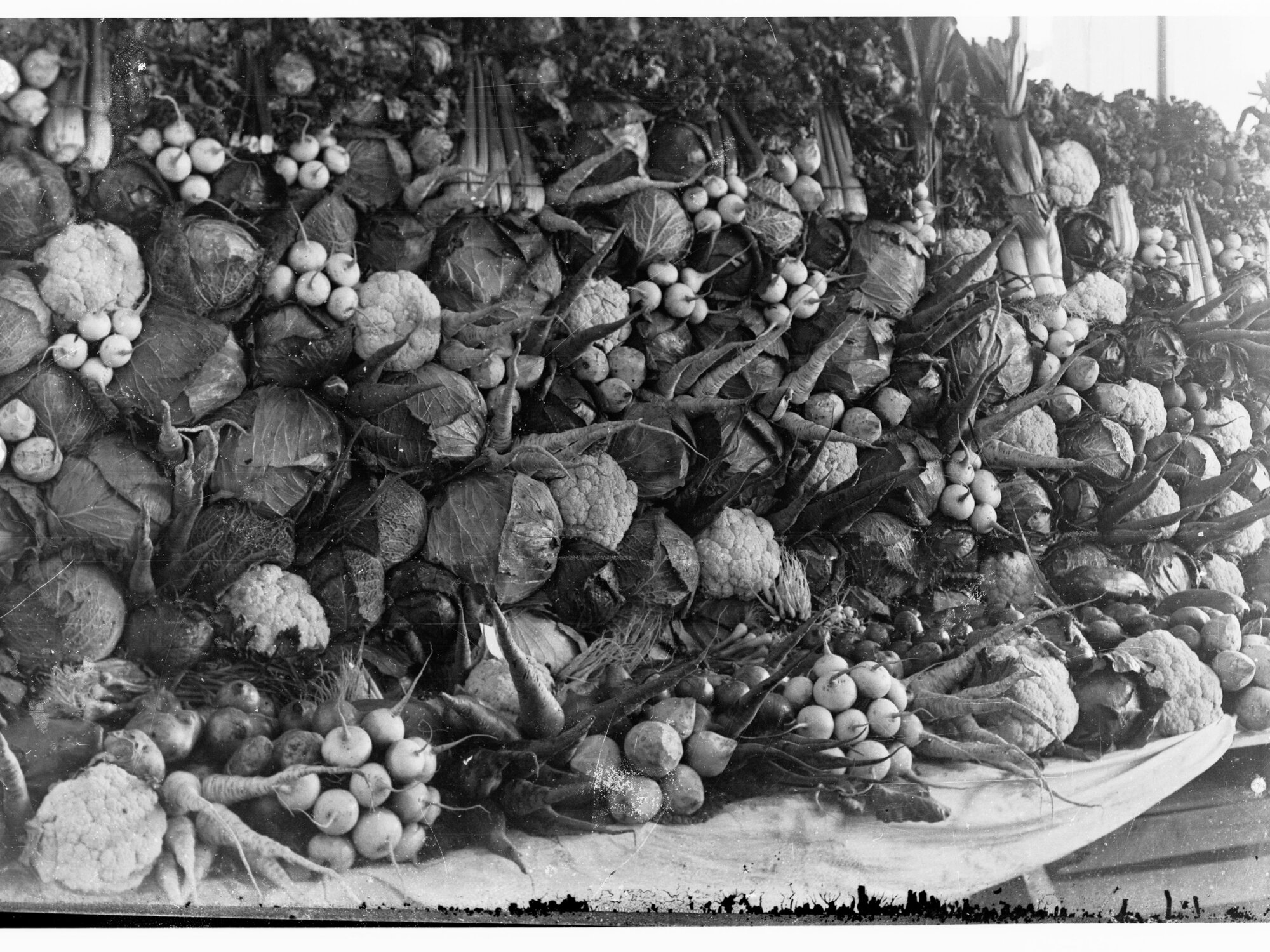 Vegetable display at Adelaide show