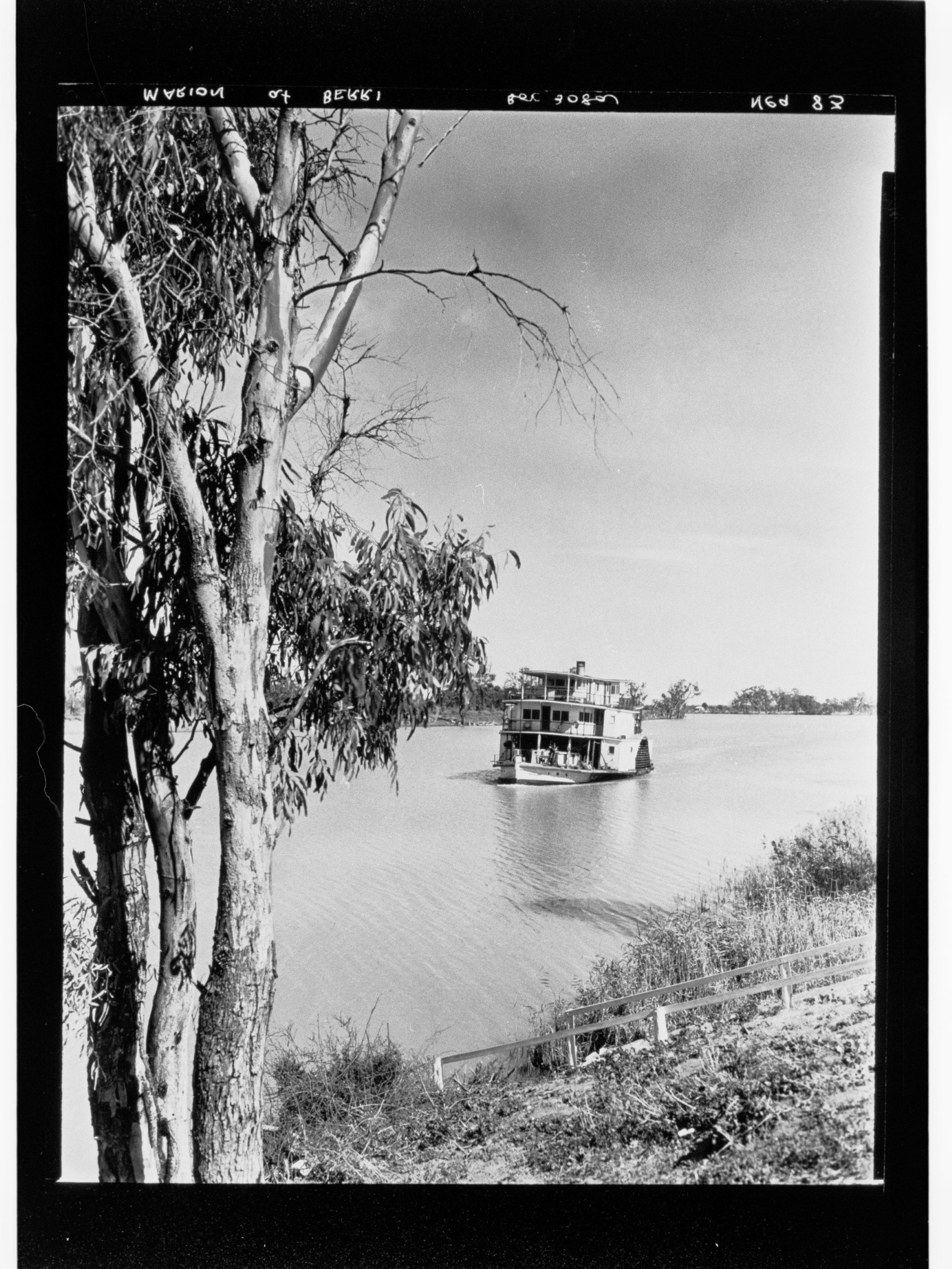 Marion' at Berri - River Murray