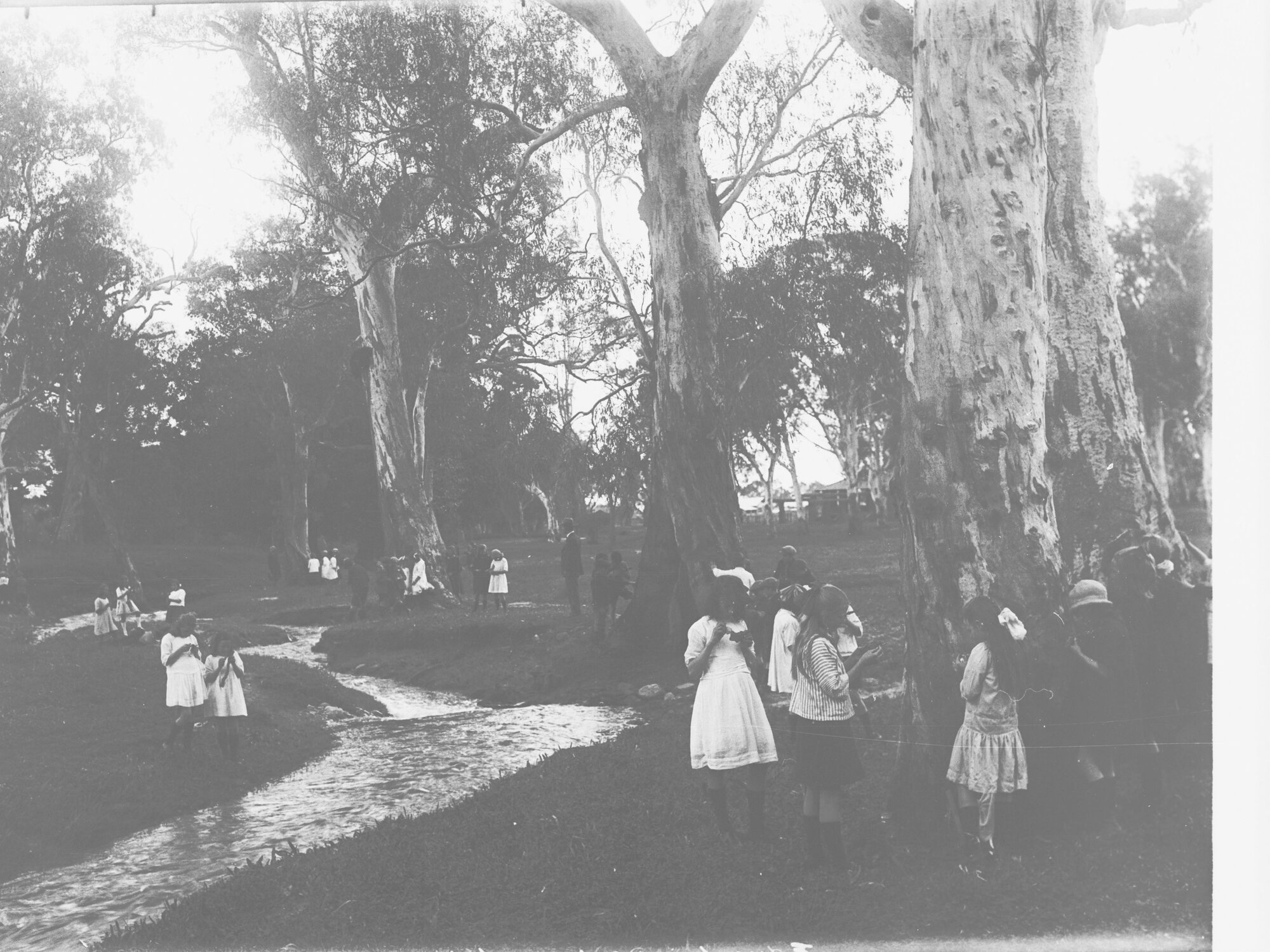 School excursion at Hazelwood Park, South Australia