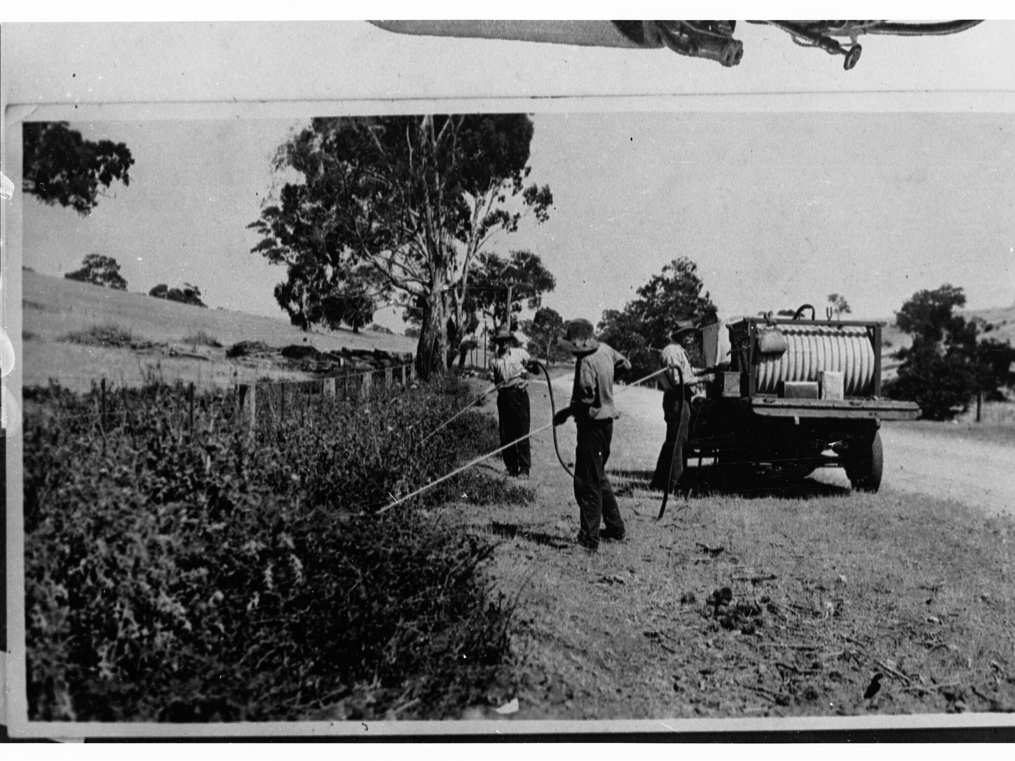 Men Spraying Weeds at Roadside
