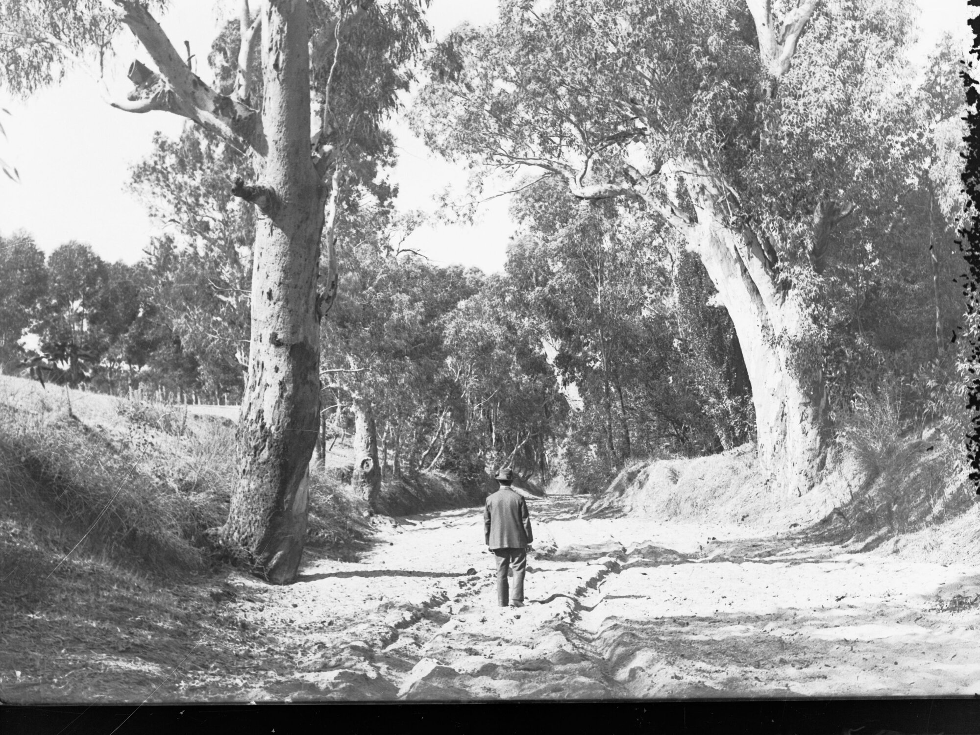 Man standing on bush track