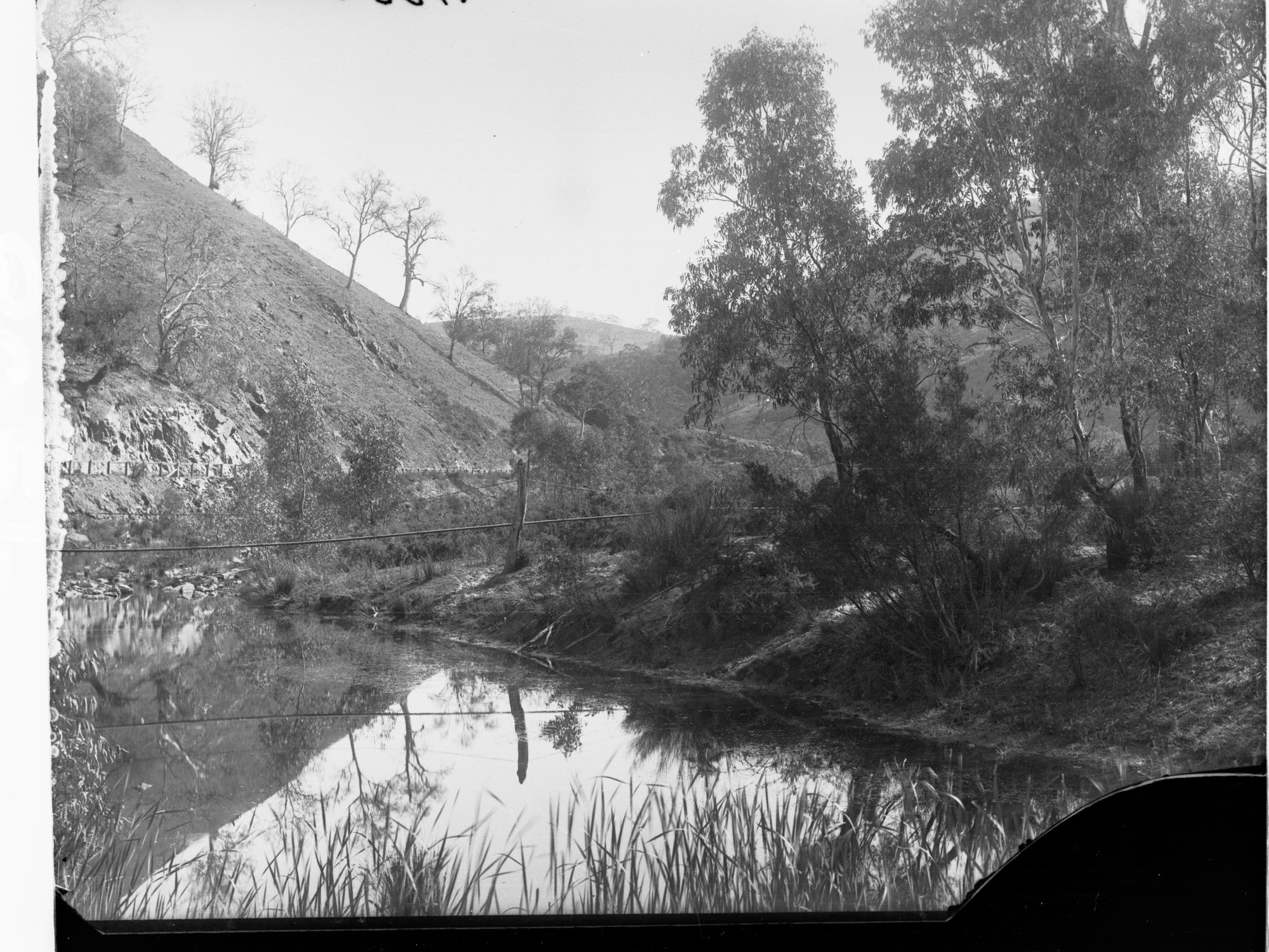 Torrens Gorge Road near Chain of Ponds