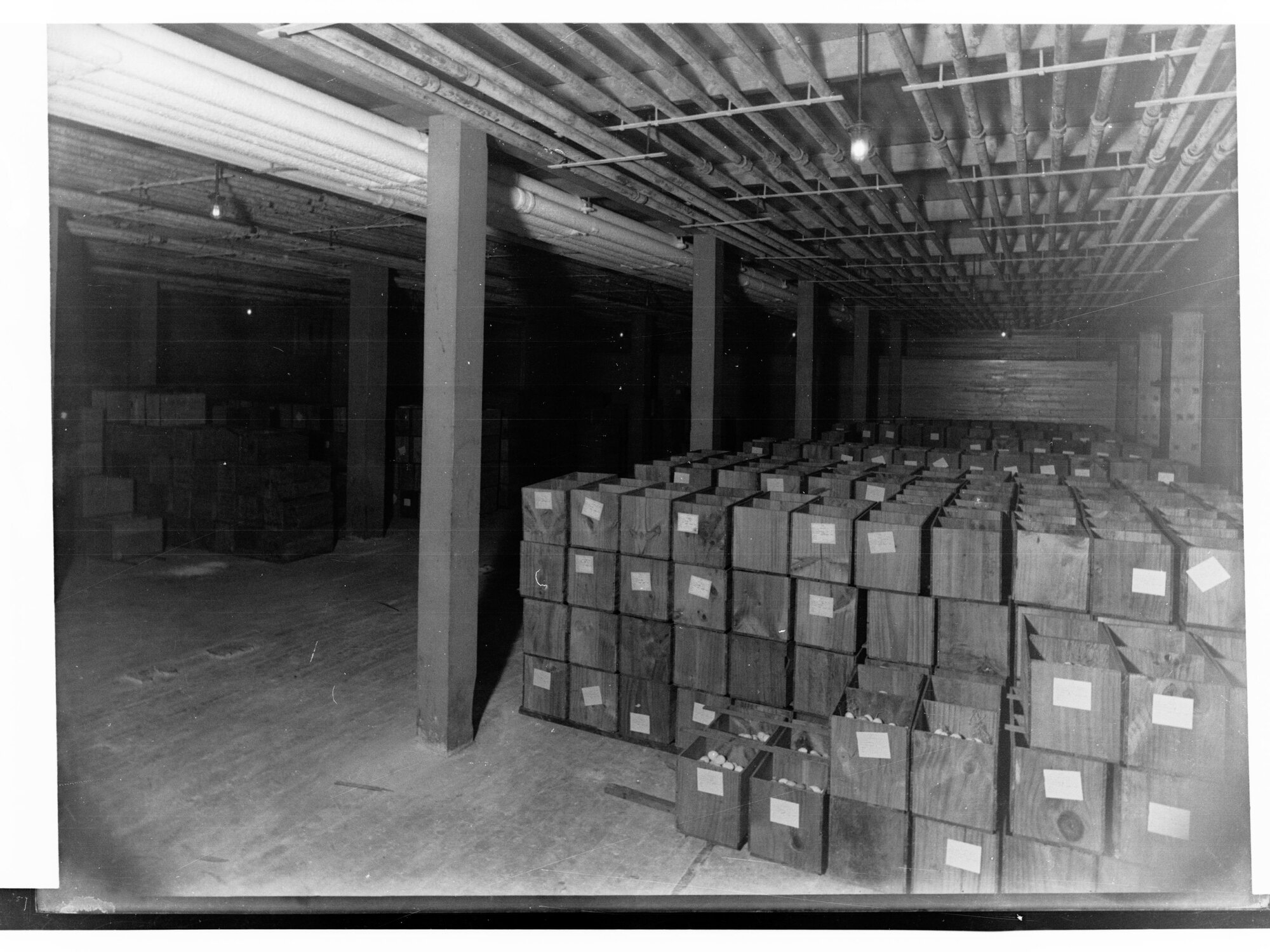 Eggs in Cold Storage, Government Export Produce Depot, Port Adelaide