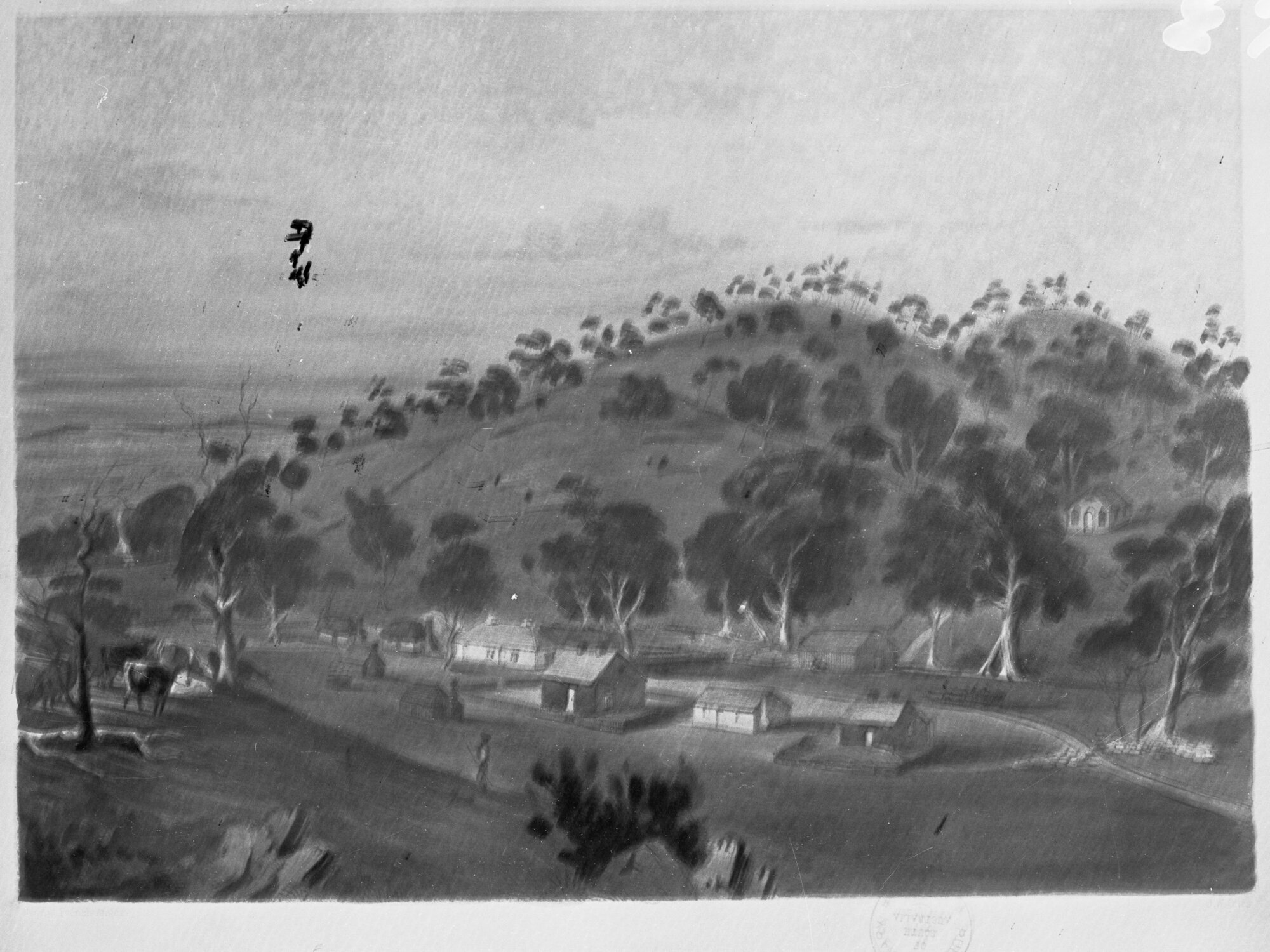 Landscape