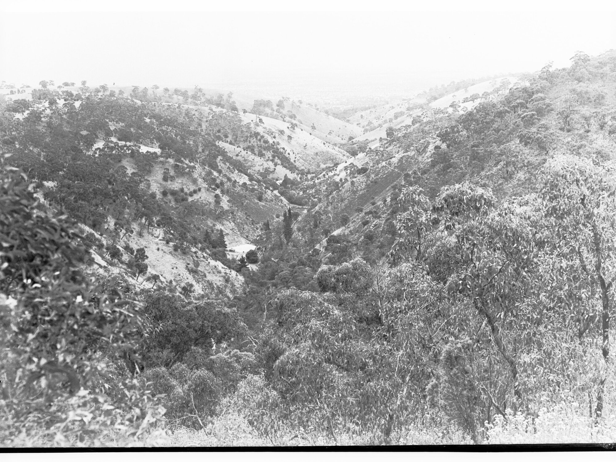 Adelaide Hills