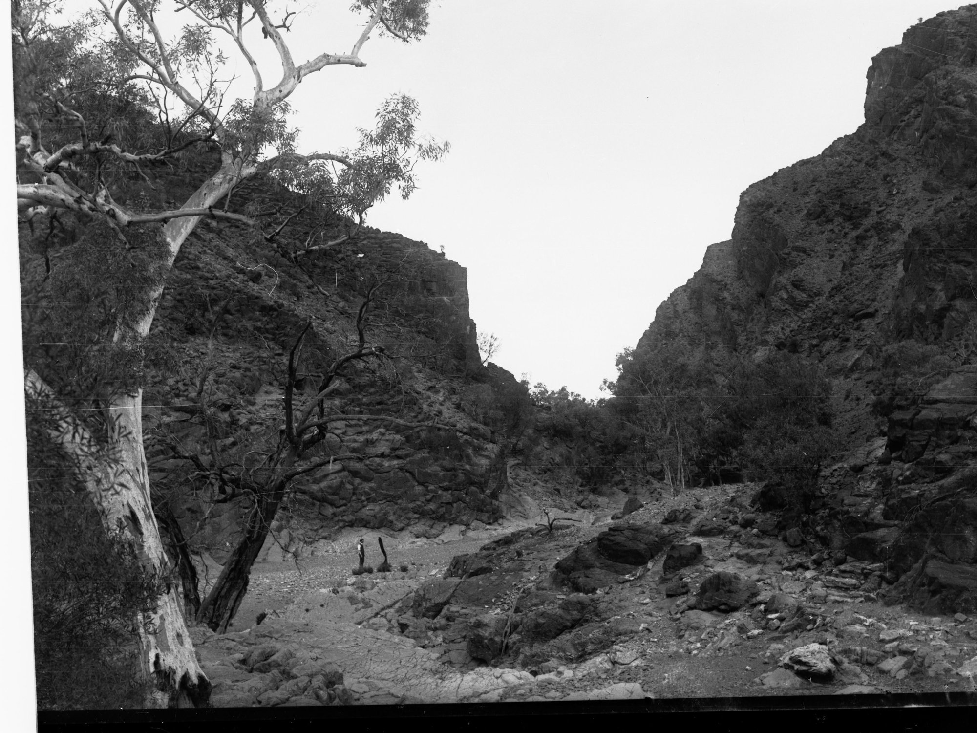 Nepowie Gorge Flinders Ranges
