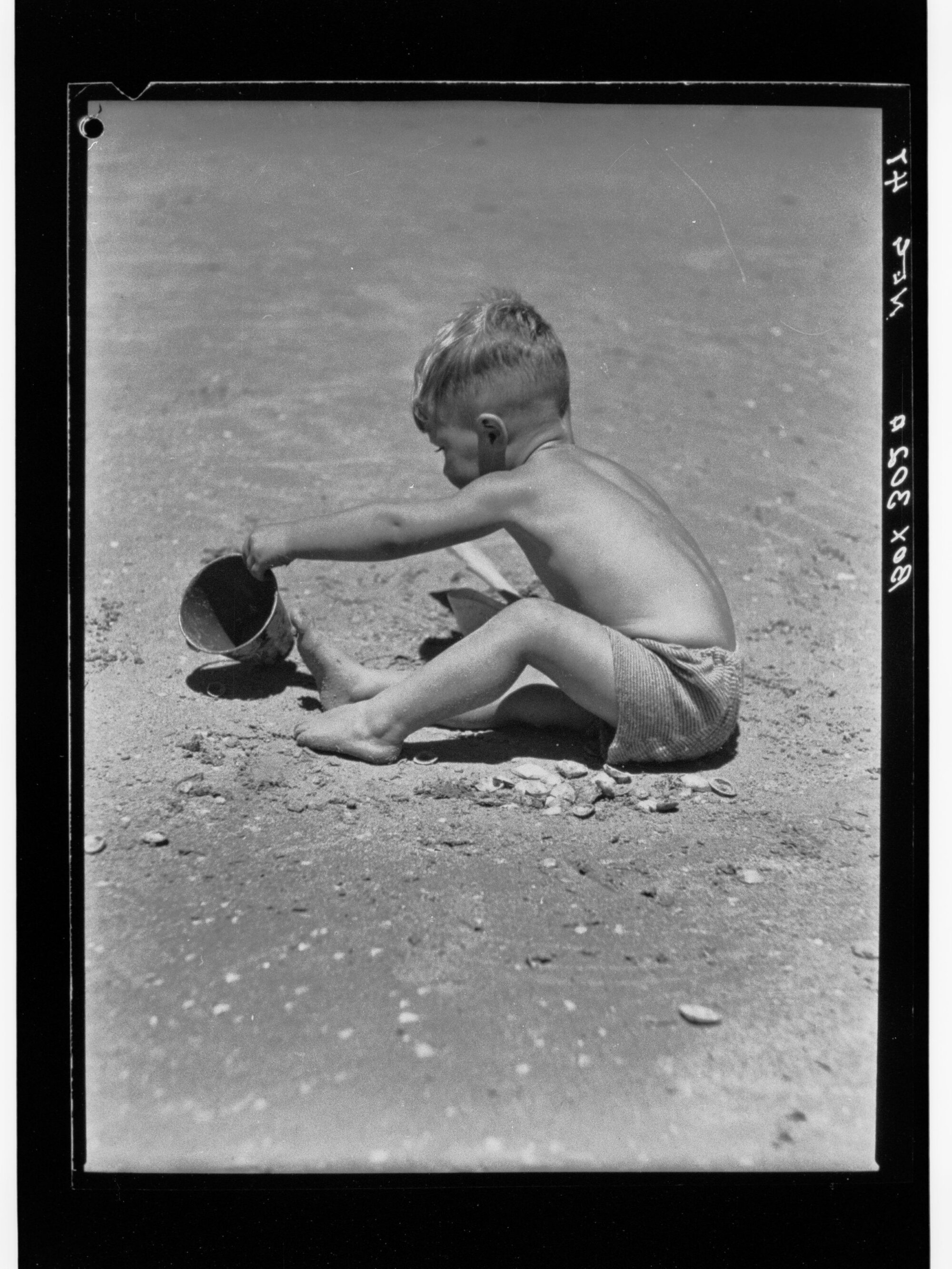Beach Fun 
