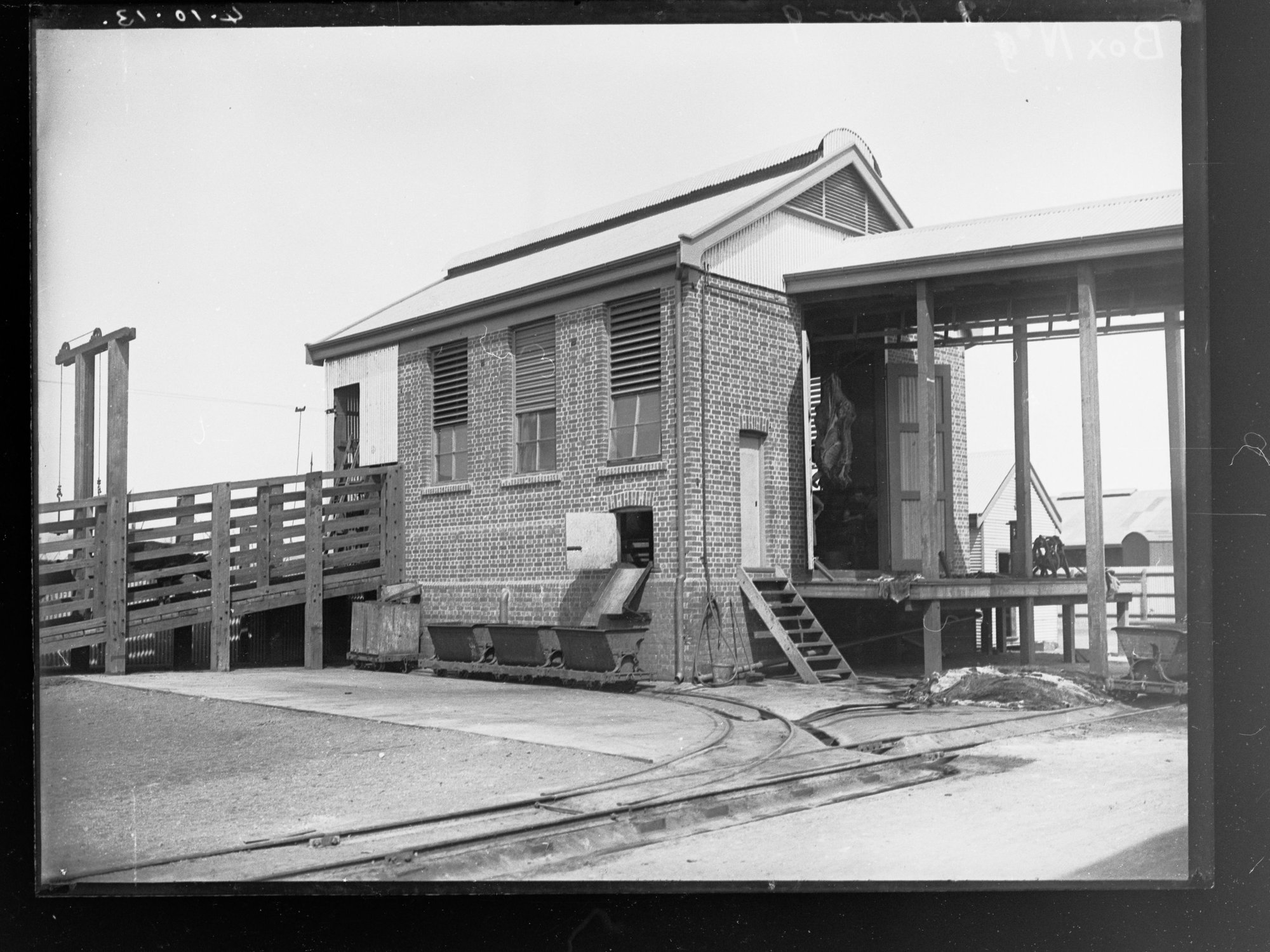 Export Department stockyards, 4 October 1913