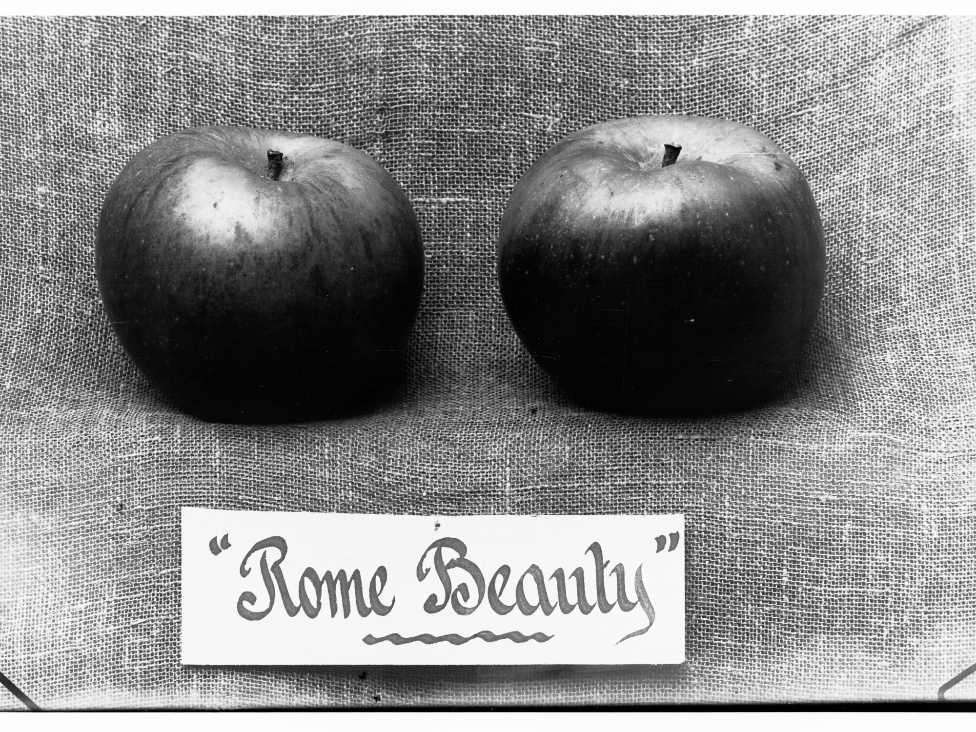 Two Apples on Display