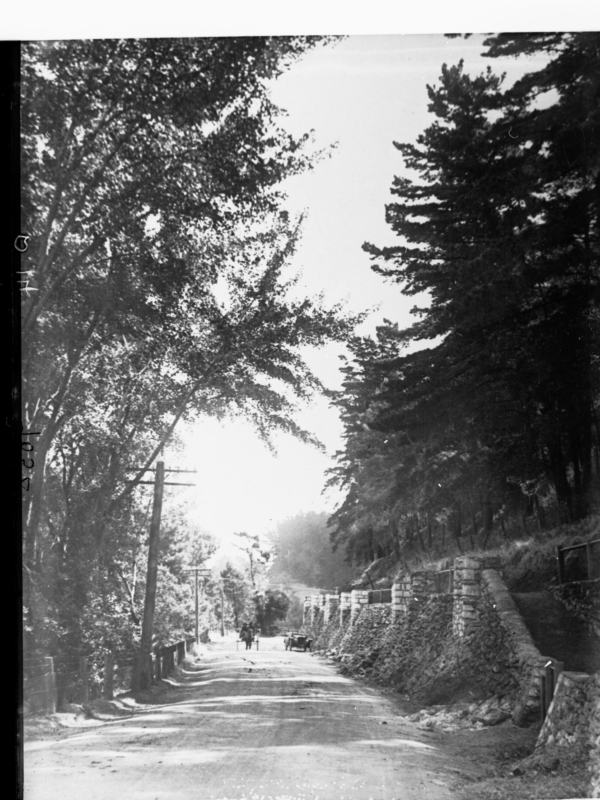 Memorial Drive Mount Gambier
