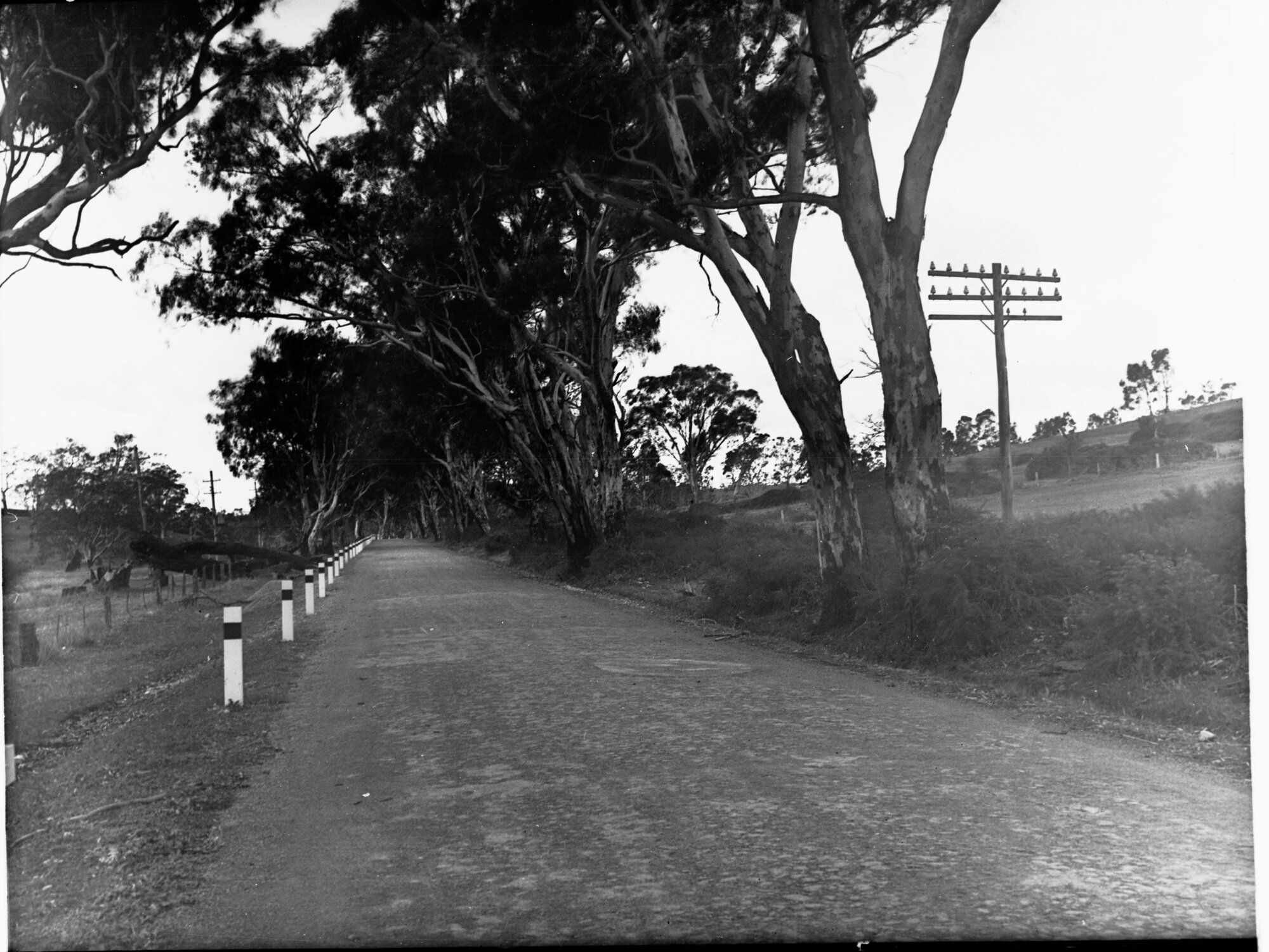 Road Near Birdwood