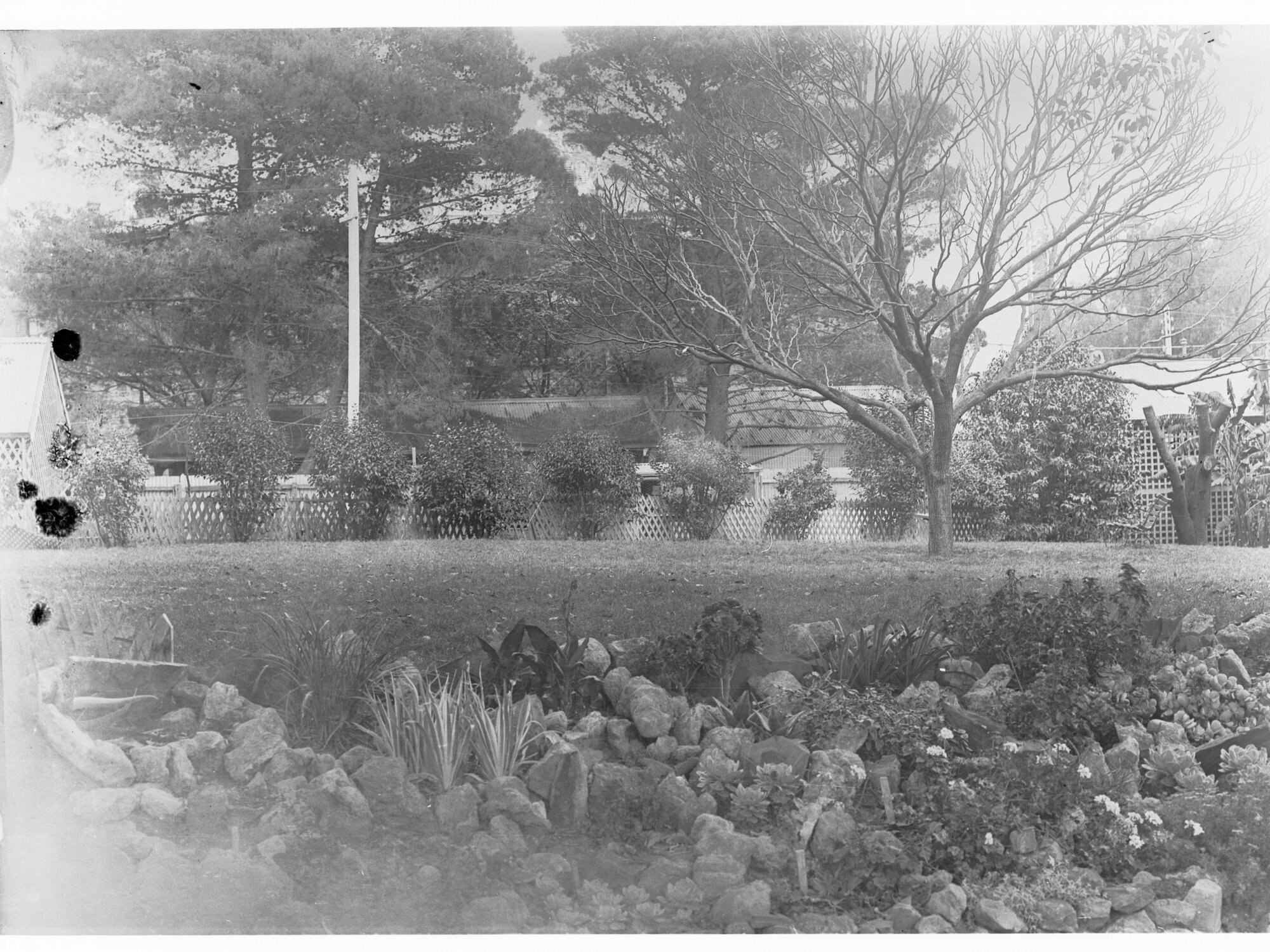 Flowerbed in Botanic Gardens