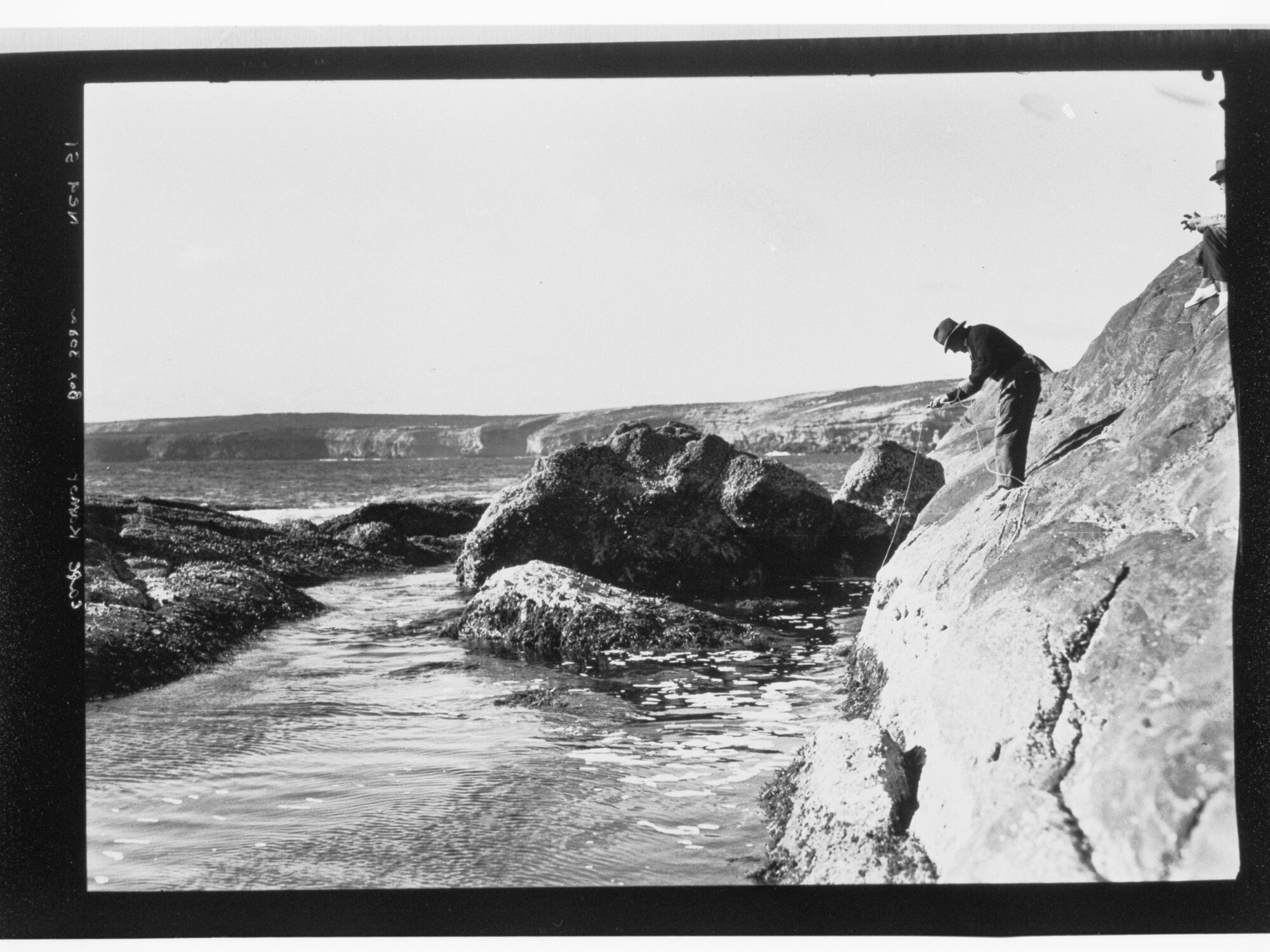 Cape Carnot