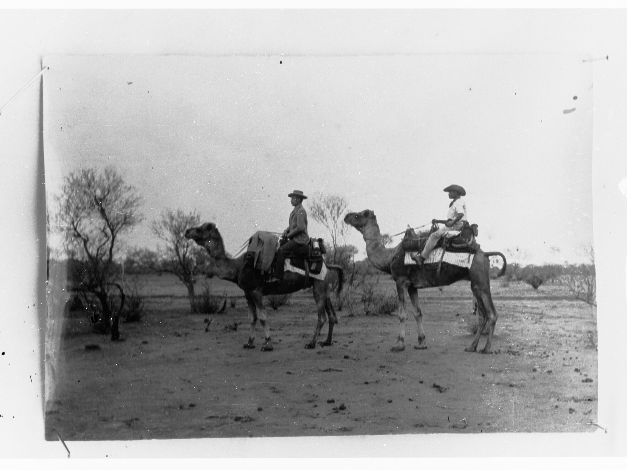 Two men riding camels - Northern Territory