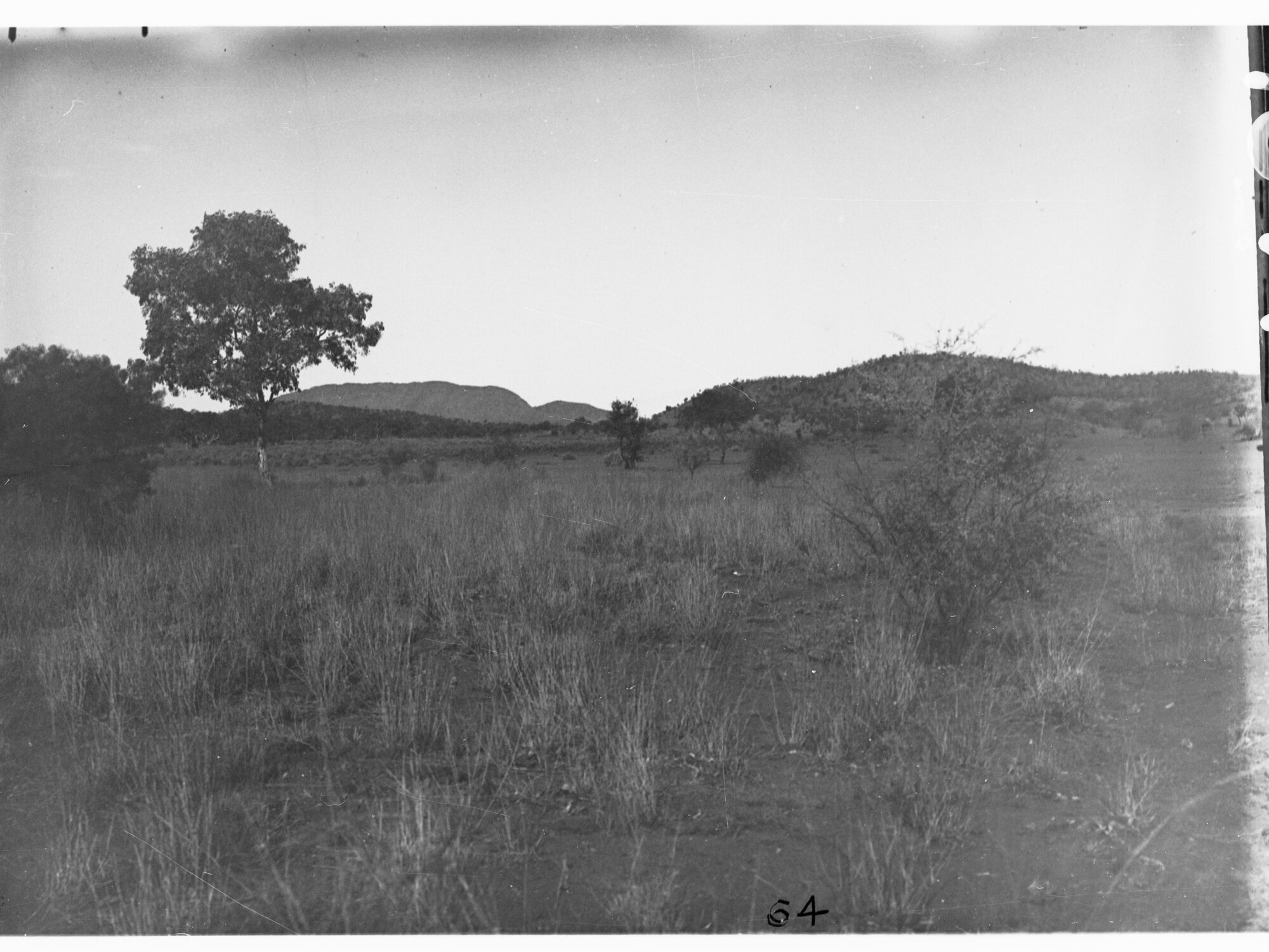 Parliamentary party on tour of Far North in Austin cars (government cars) - countryside