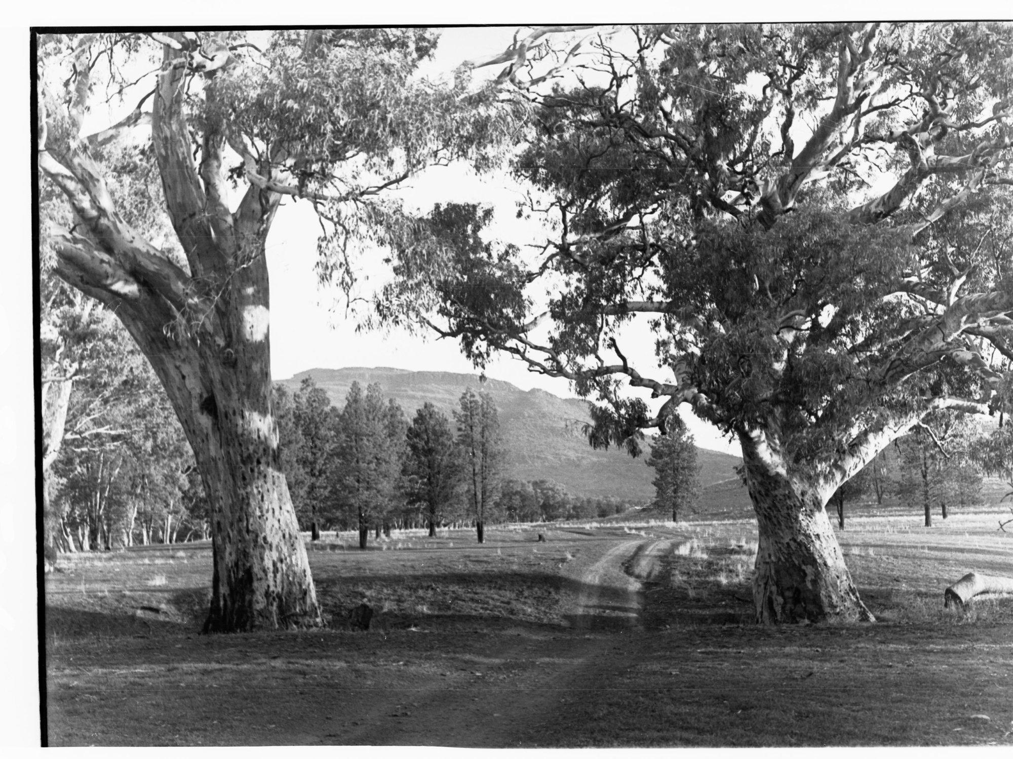 Flinders Ranges