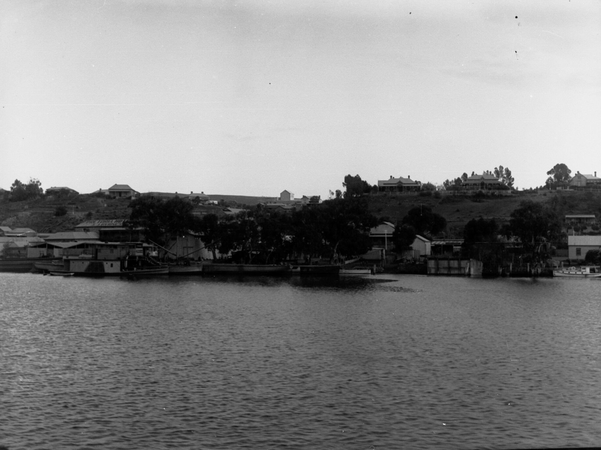 Riverbank at Mannum showing houses, township and paddlesteamers