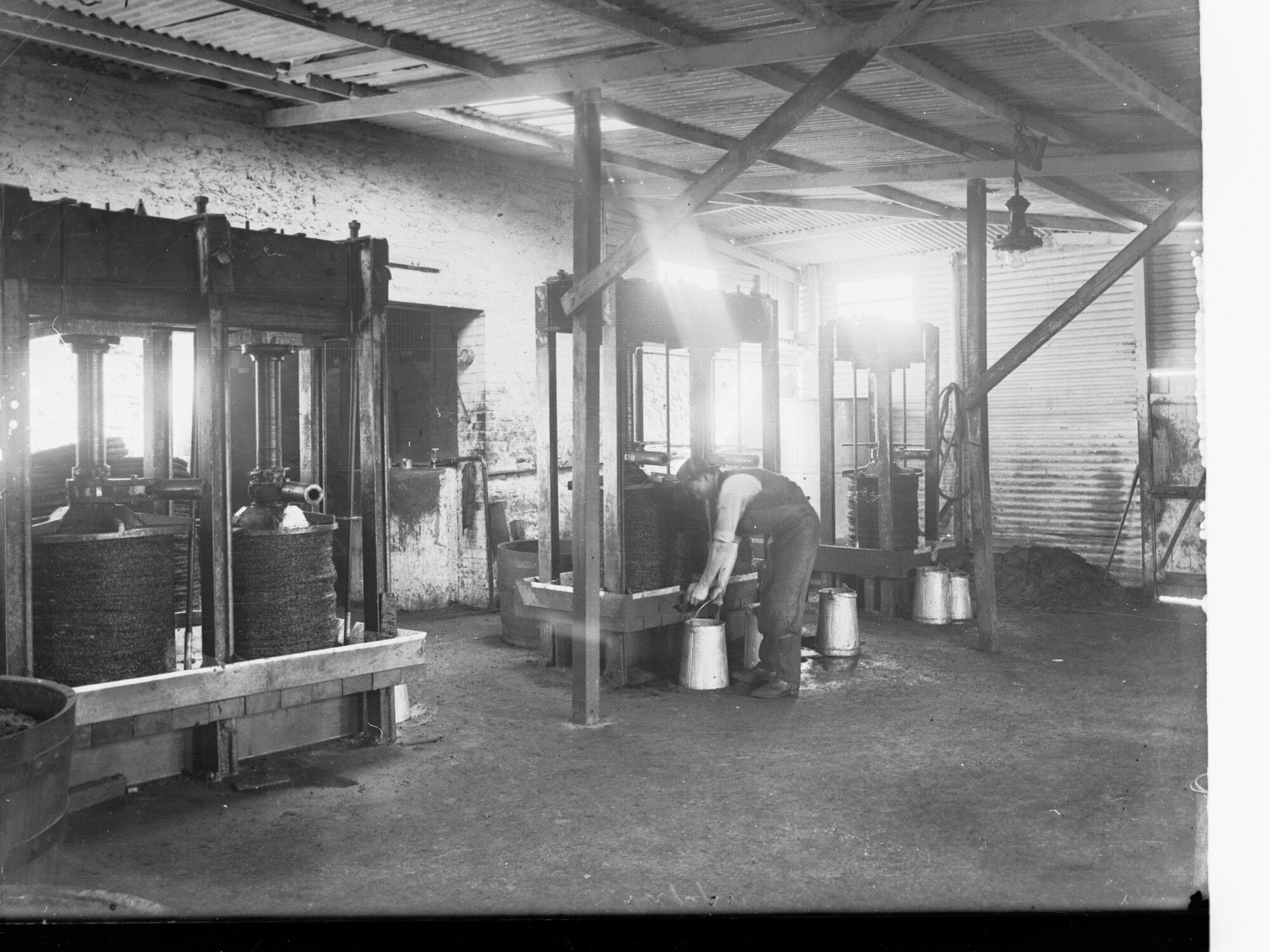 Olive Oil Presses, Stonyfell Olive Company, Stonyfell