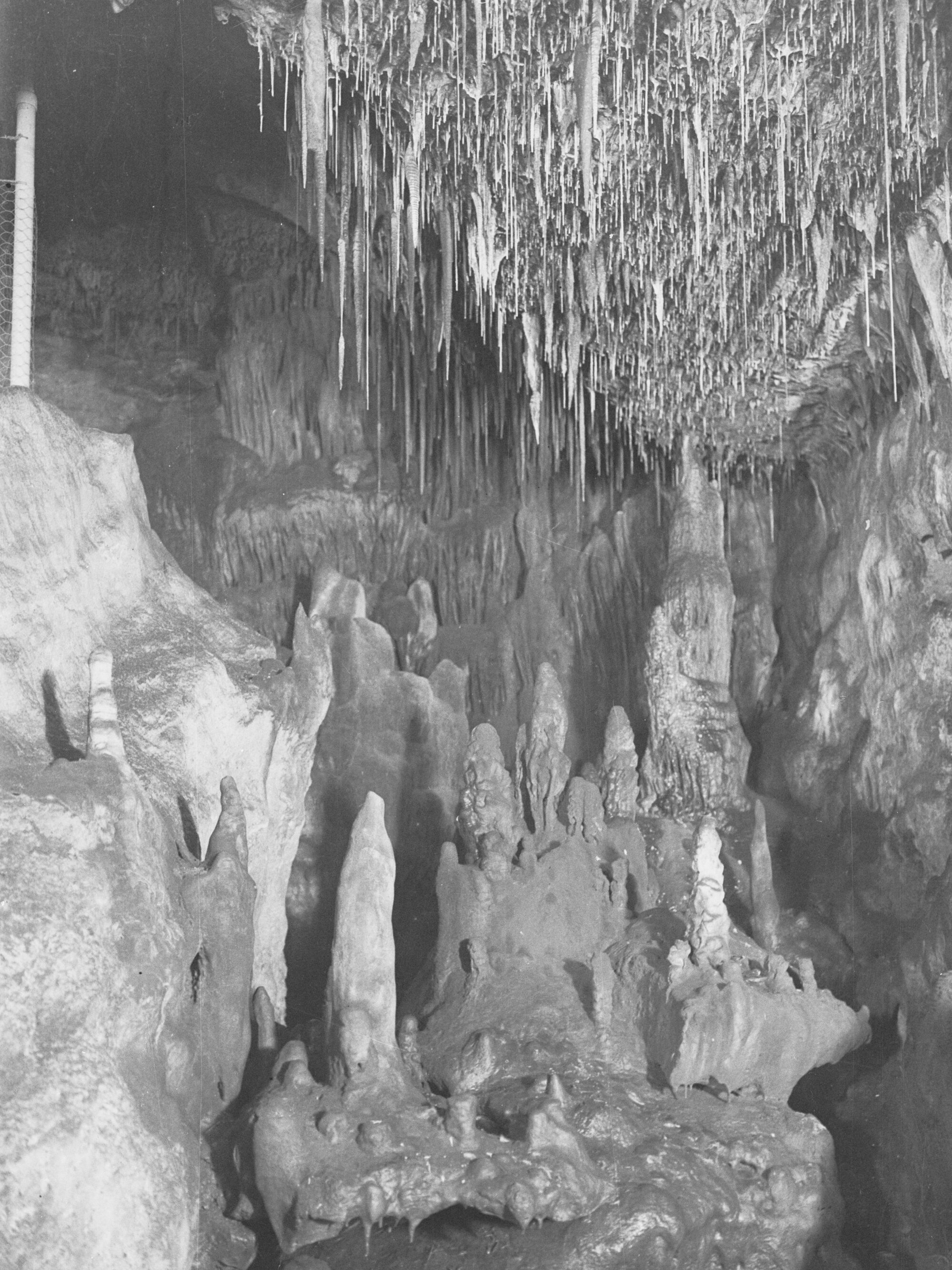 Interior of Cave Naracoorte