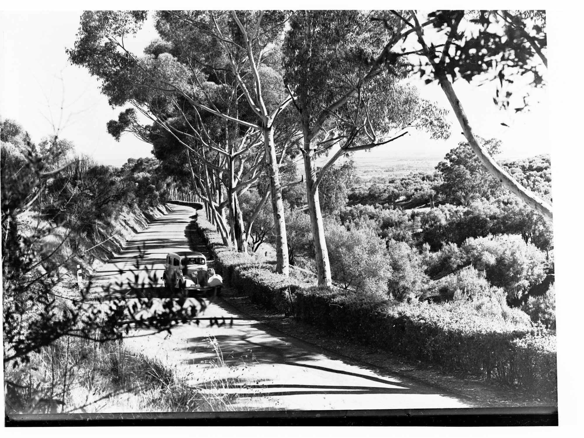 Norton Summit Road 