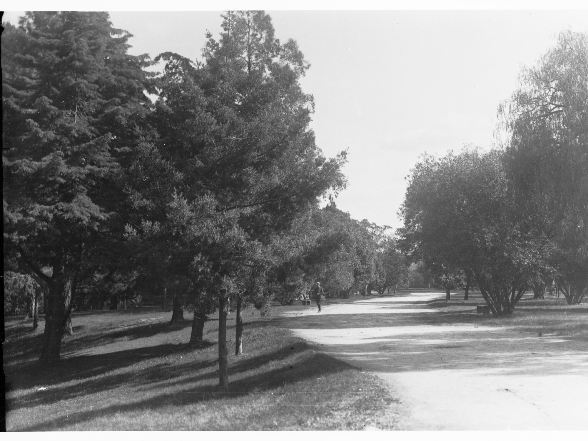 View in Botanic Gardens Showing Man on Pathway