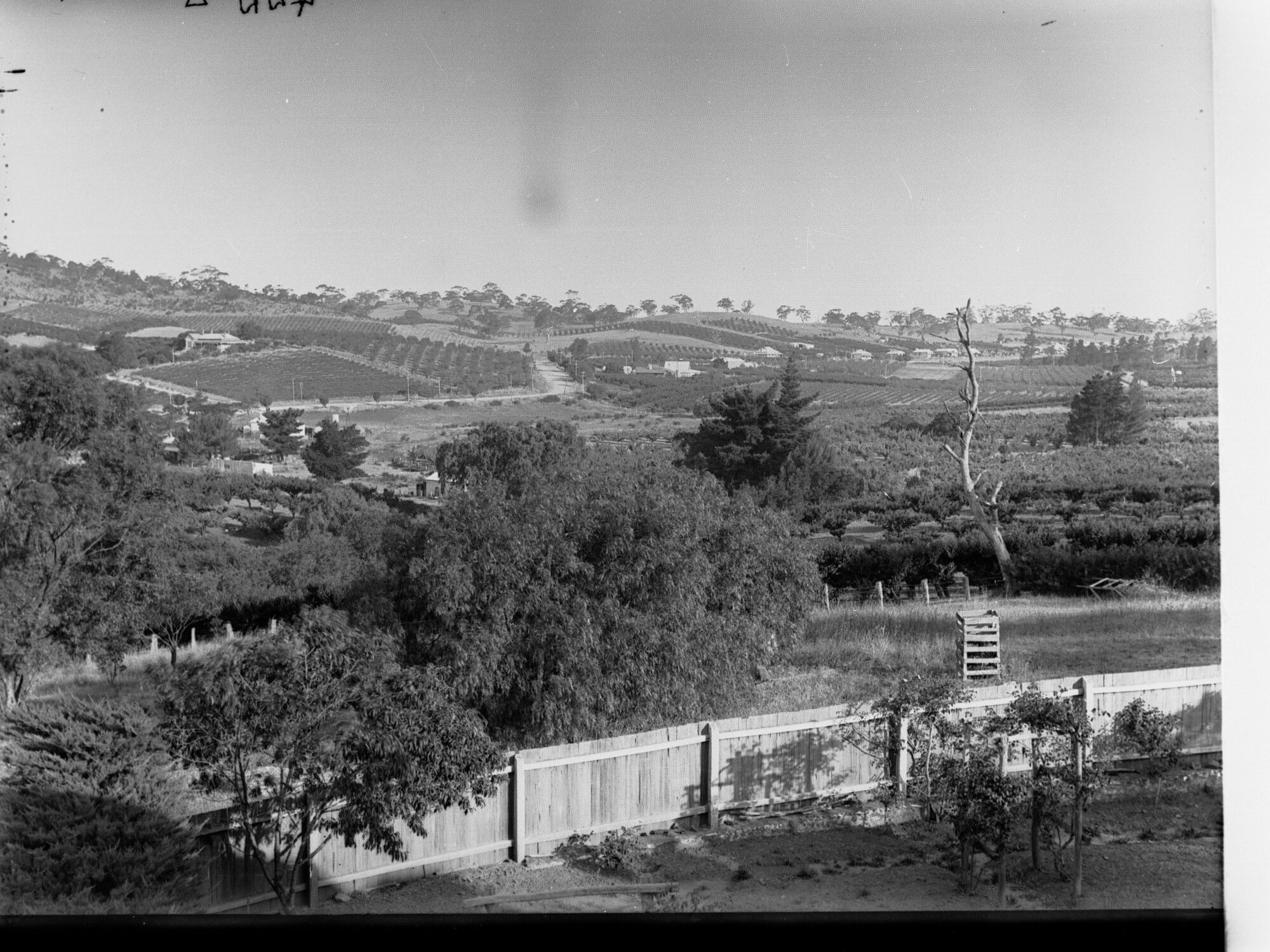 Angaston View from Vineyards