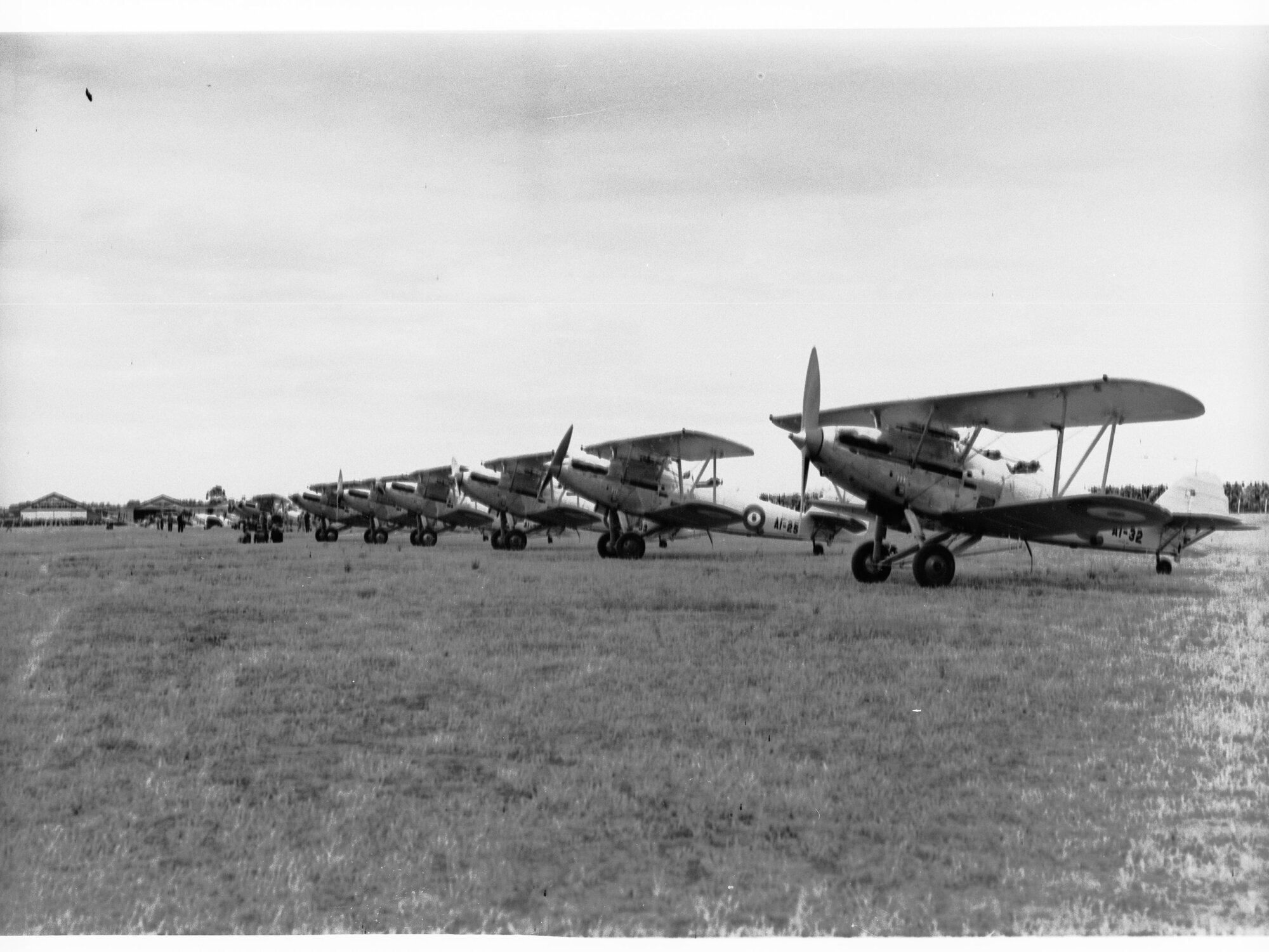 A row of aircraft -  RAAF Hawker Demons - at Parafield