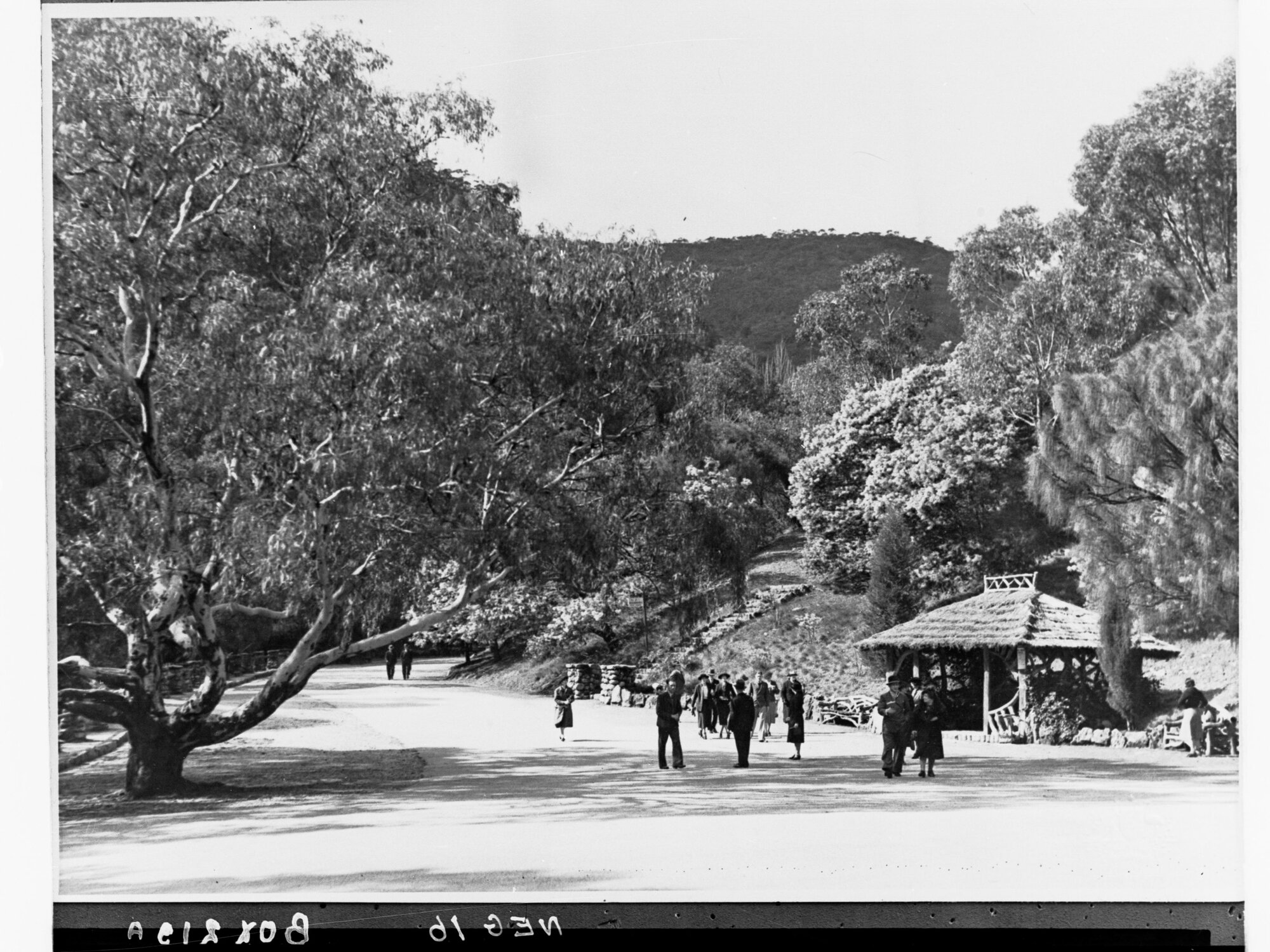Morialta