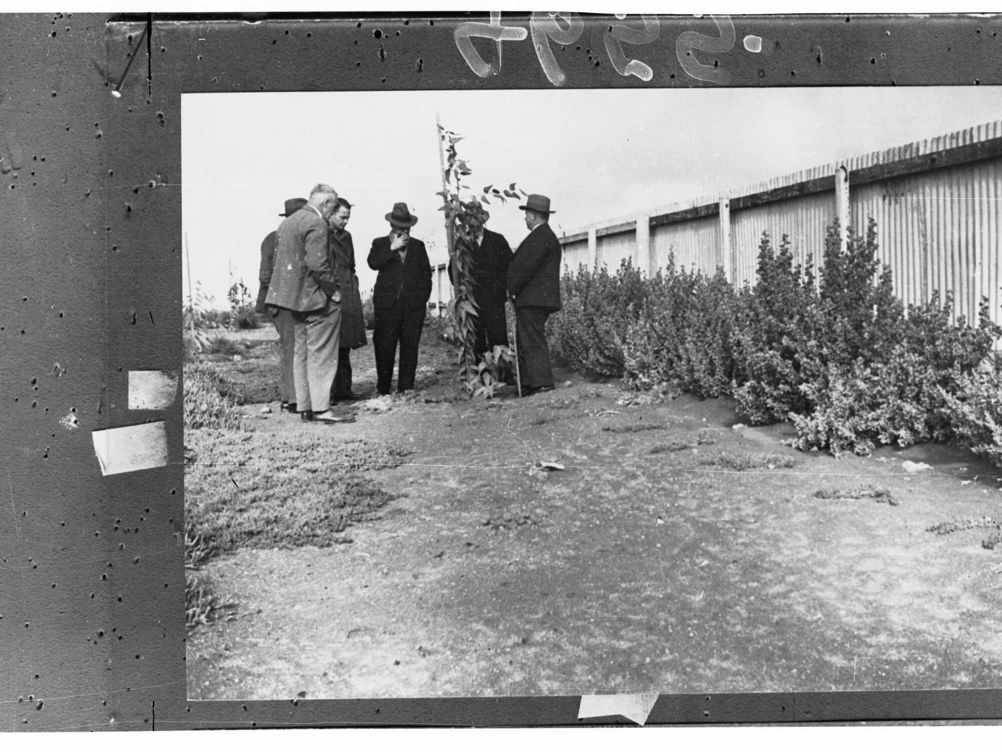 Group of Men Standing by a Fence Studying Plant