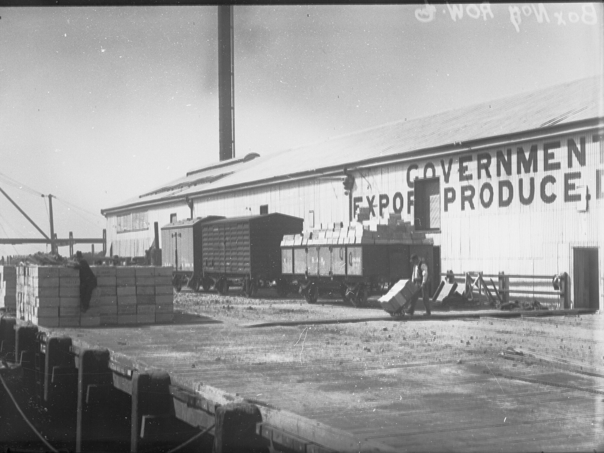 Government Export Produce Deptartment shipping fruit at Port Adelaide