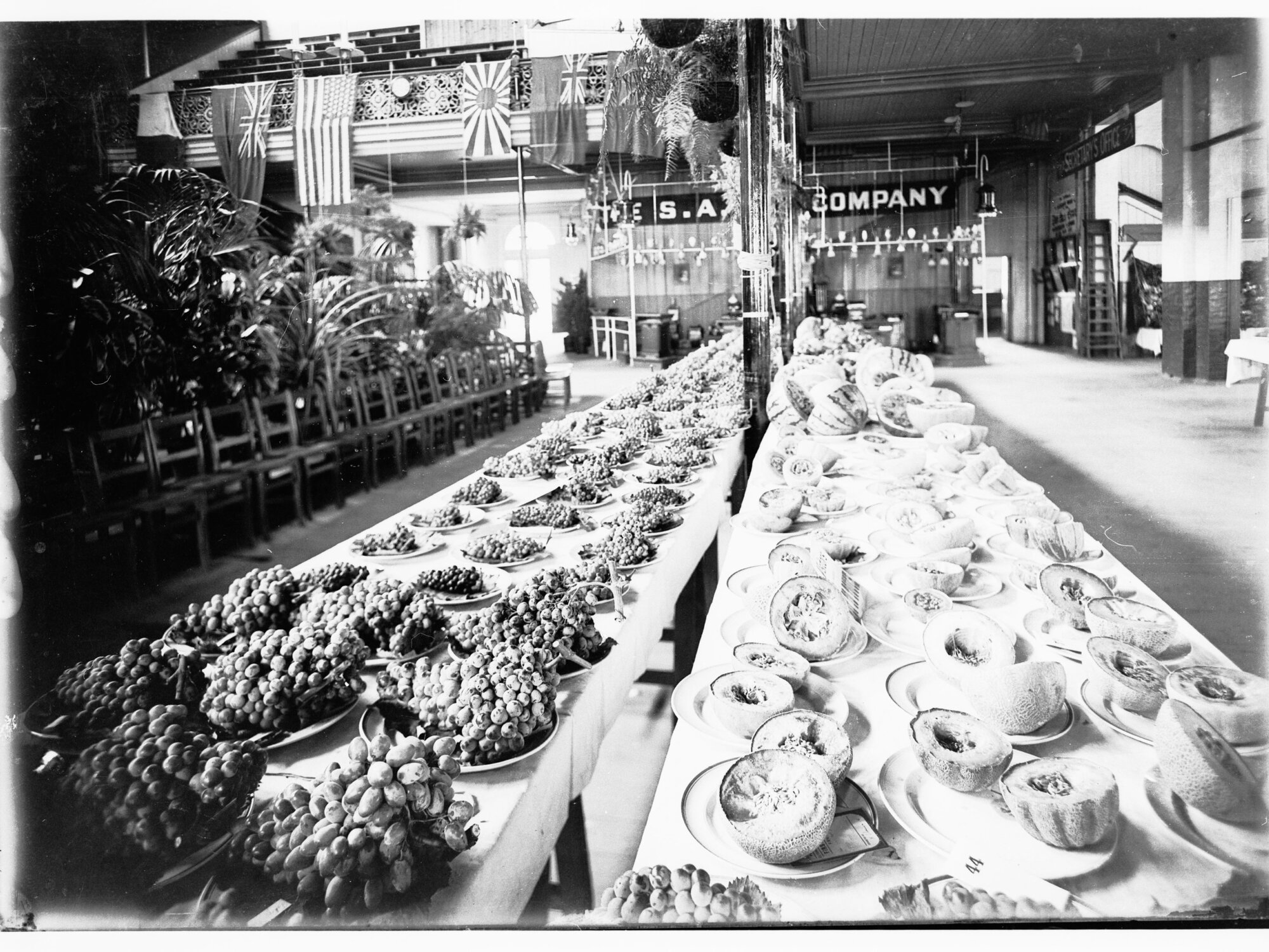 Exhibition of fruit