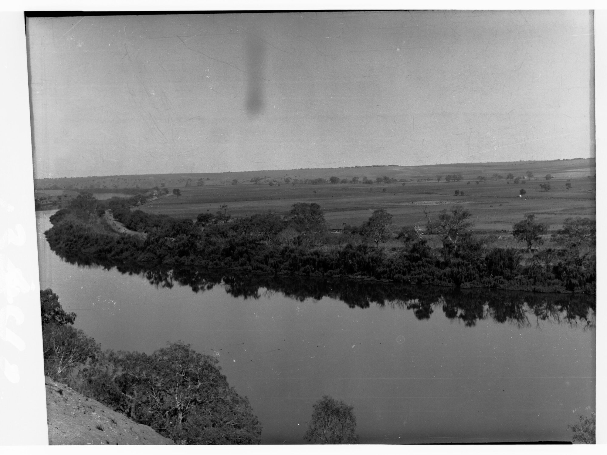 Reclaimed area for Irrigation Department